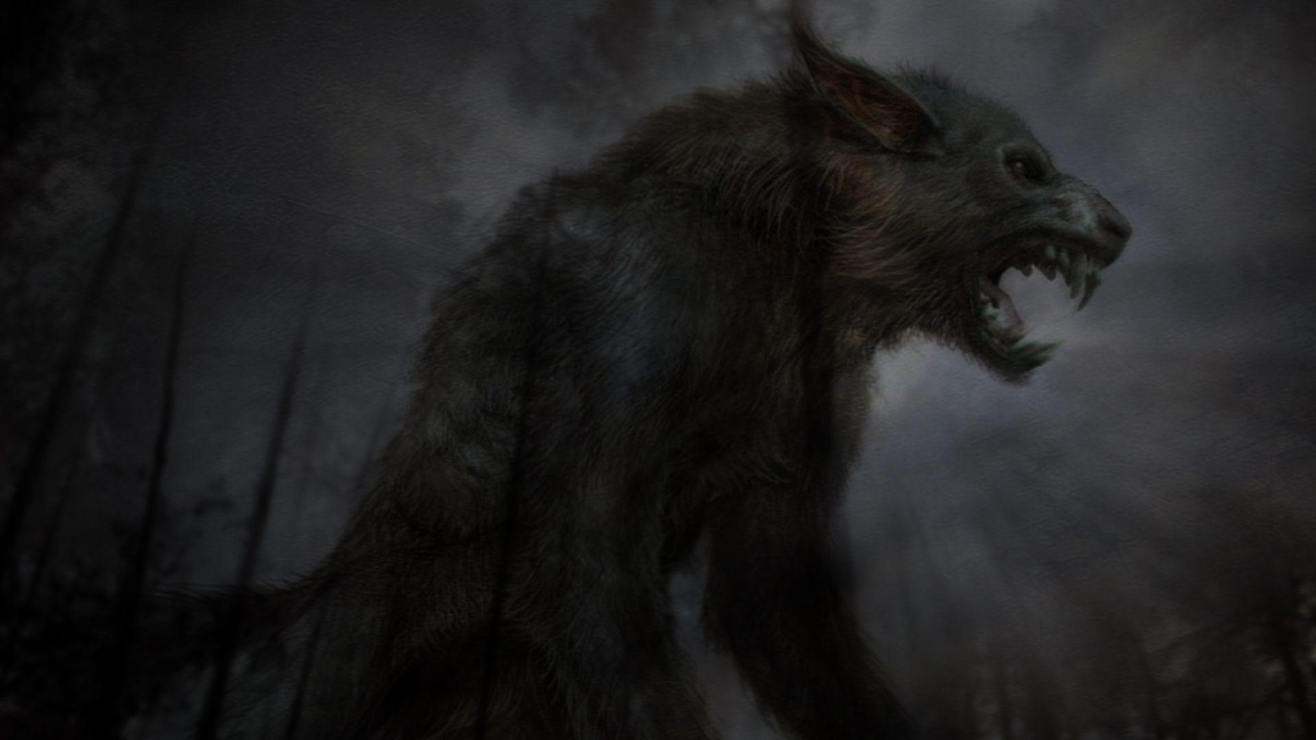 1920x1080 Free download Beast Black Wolf Exclusive HD Wallpaper 2690