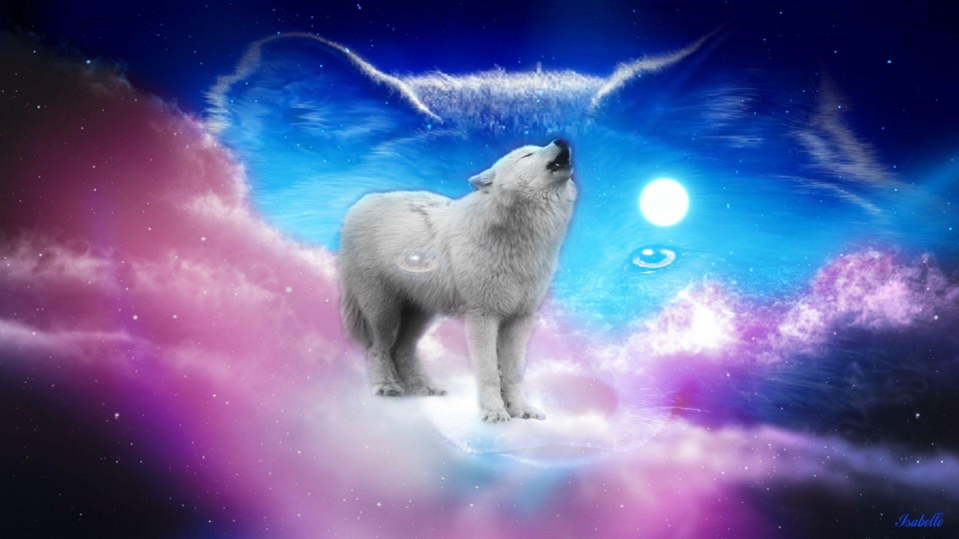 1920x1080 Cute Wolf Pink Sky Full Moon desktop PC and Mac wallpaper
