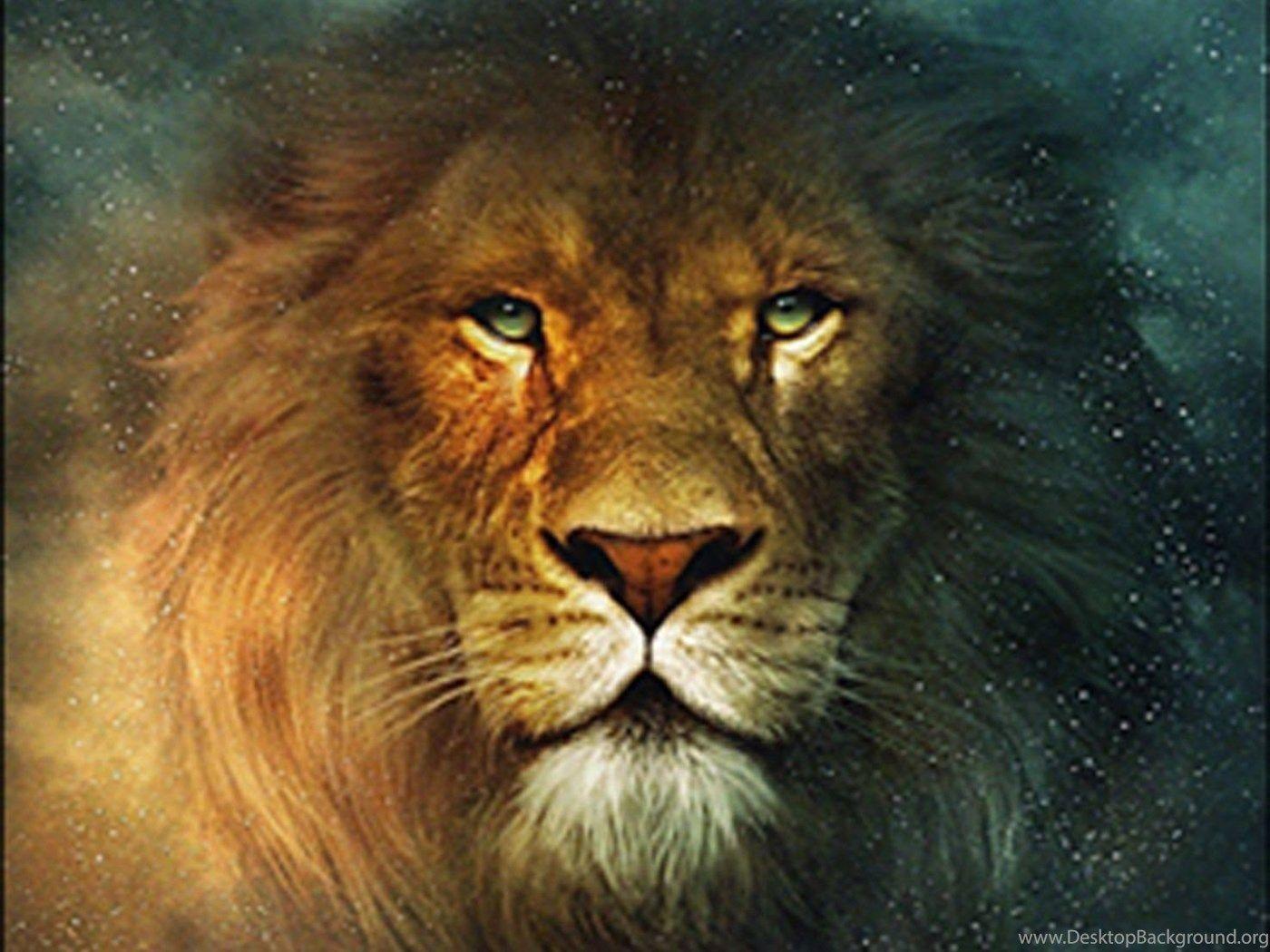 1400x1050 Top Cool Lion Wallpaper HD Image For Pinterest Desktop Background