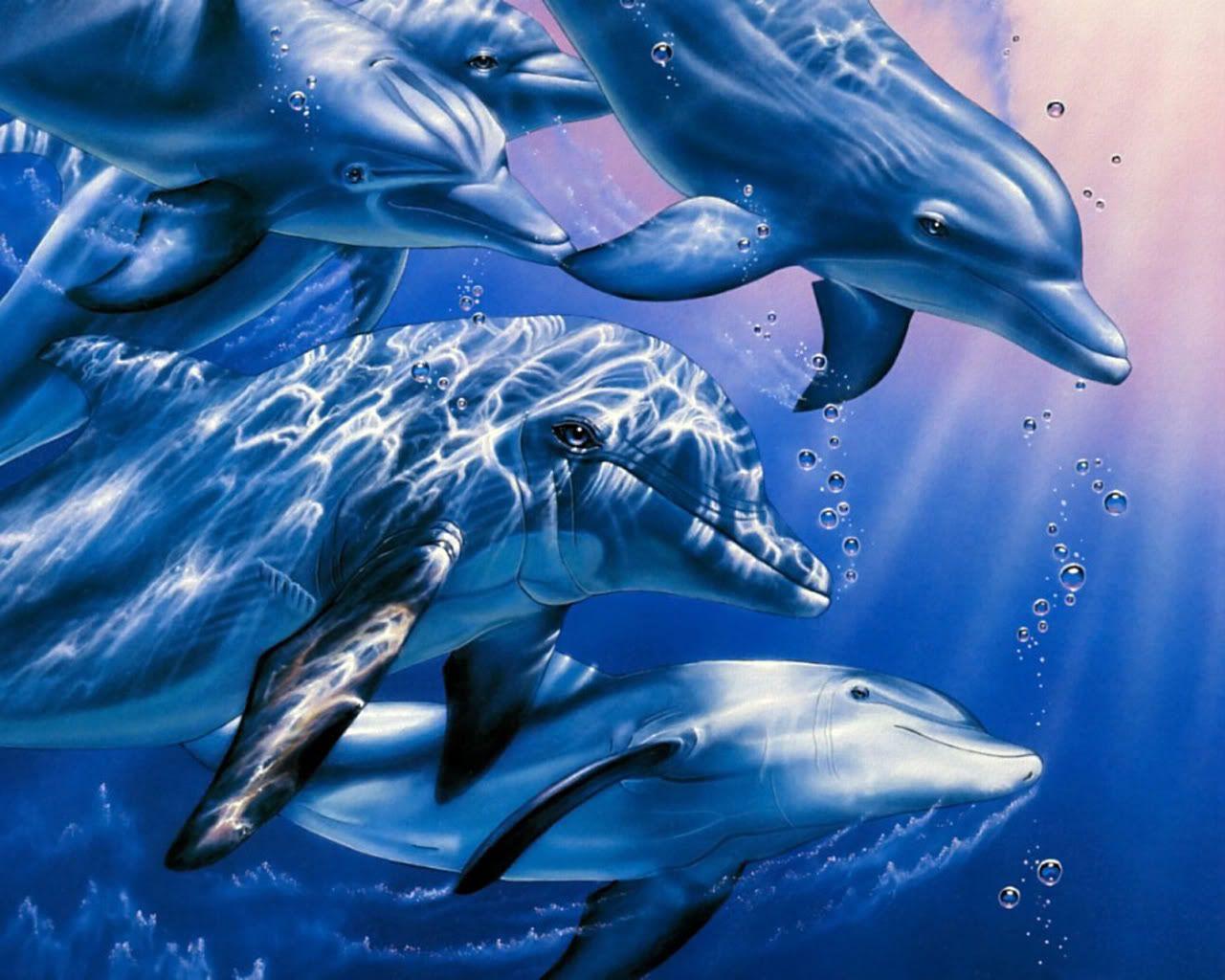 1280x1024 Free Dolphin Desktop Wallpaper