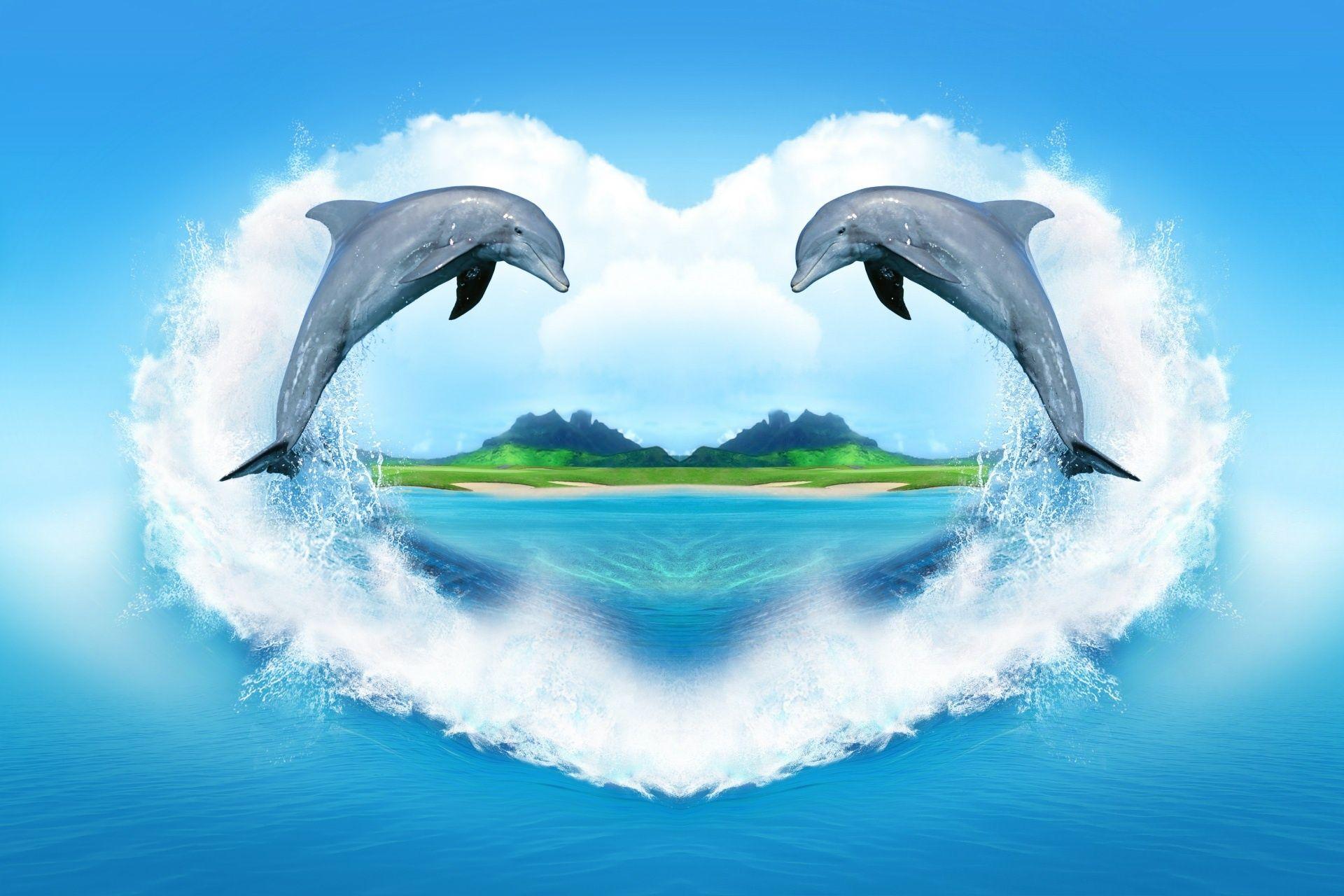 1920x1280 Back To 71 Dolphin Wallpaper HD In A Heart, HD