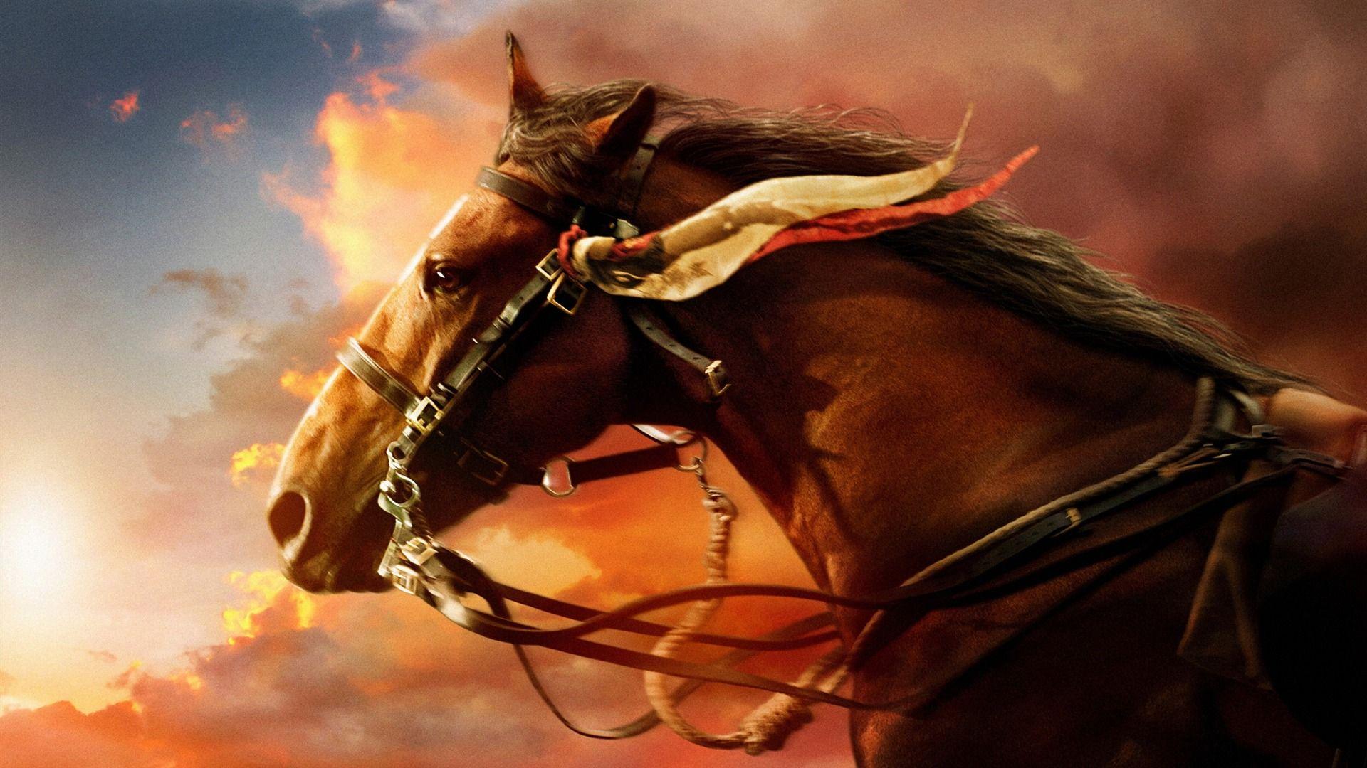 1920x1080 Animal / War Horse Hd Desktop Wallpaper Horse, HD Wallpaper