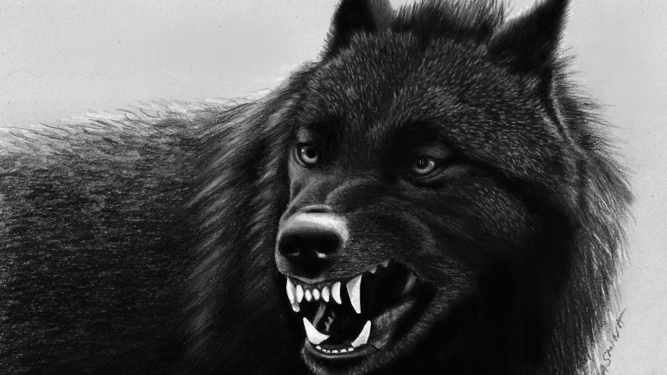 Cool Black Wolf Wallpapers - Top Free Cool Black Wolf Backgrounds