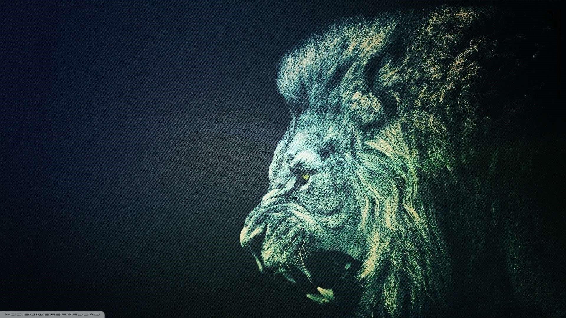 1920x1080 Roaring Lion Wallpaper
