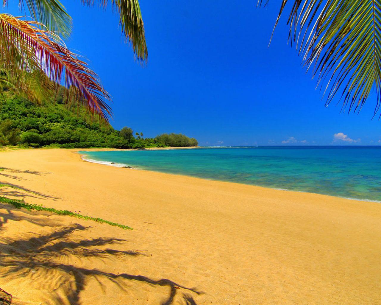 1280x1024 Summer Desktop Background. Beautiful