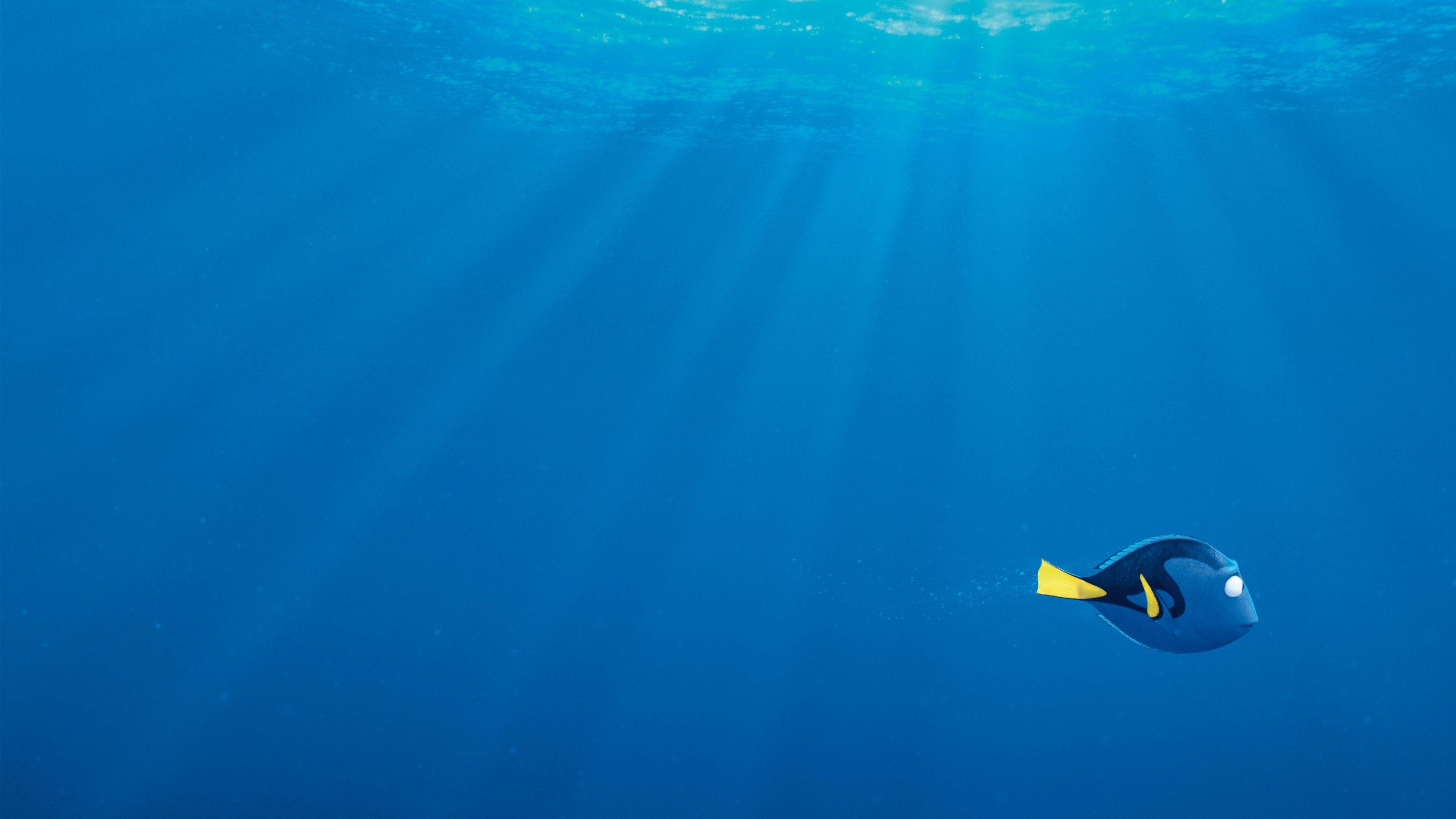 3840x2160 Wallpaper Finding Dory, nemo, shark, fish, Pixar, animation