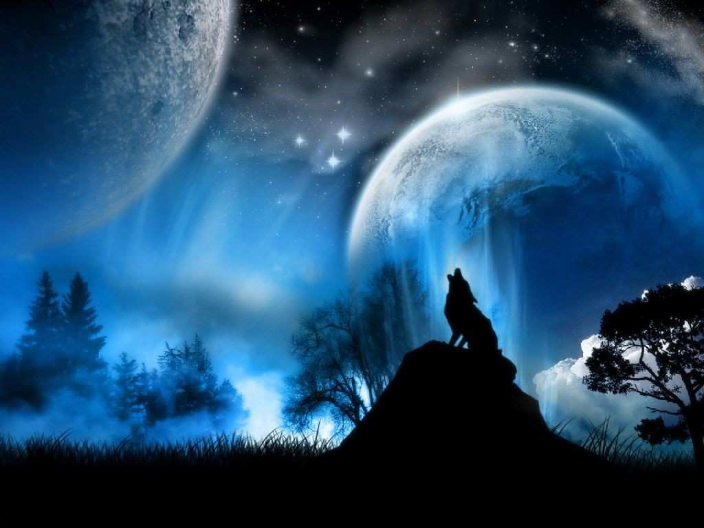 Full Moon Wolf Howling HD 4K Wallpaper 81518