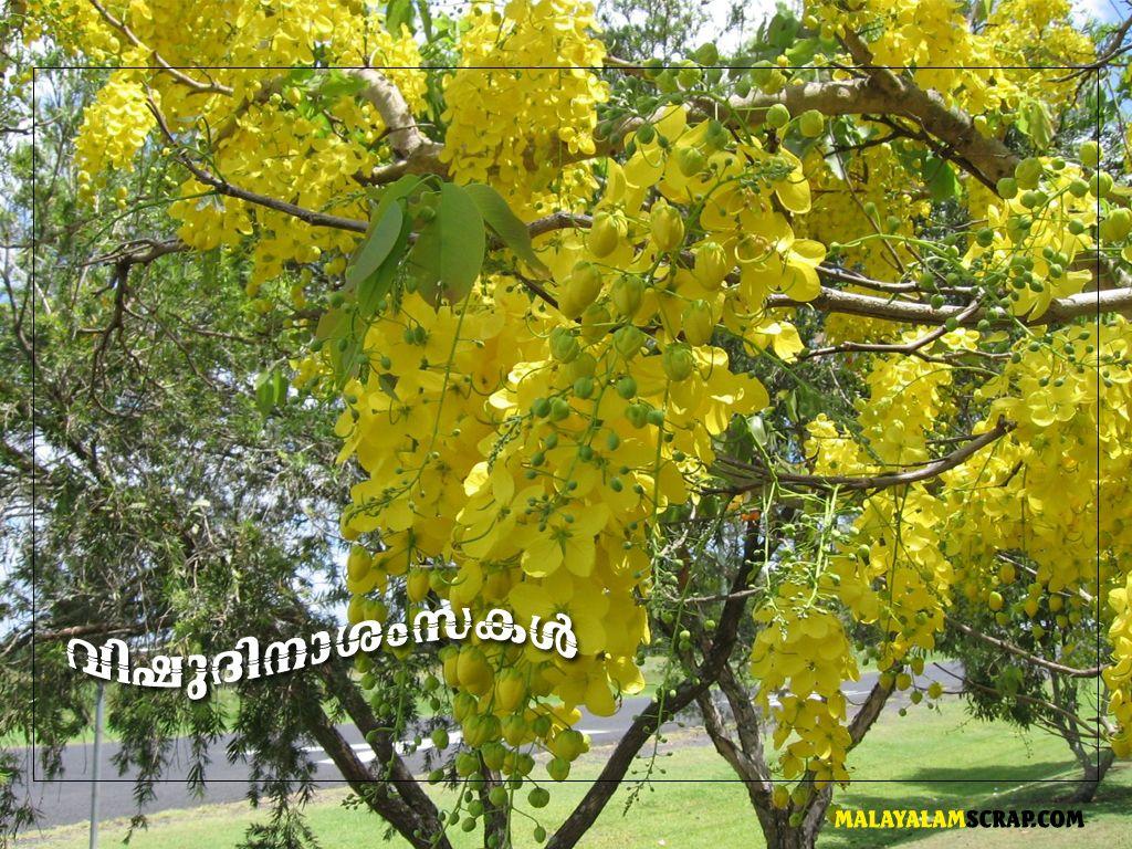 1024x768 Vishu Wallpaper 1024 x 768