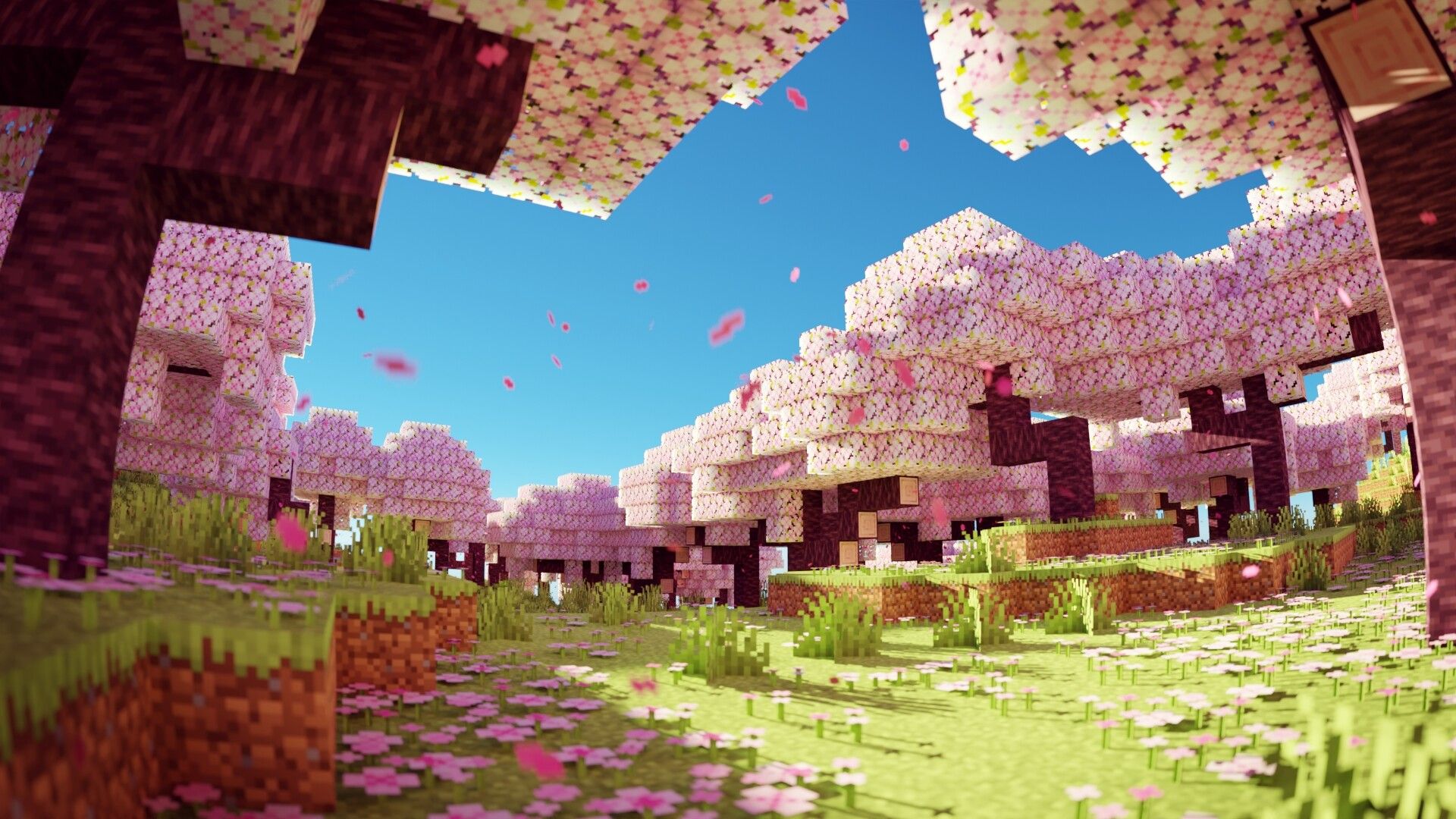 1920x1080 Minecraft Cherry Blossom Grove