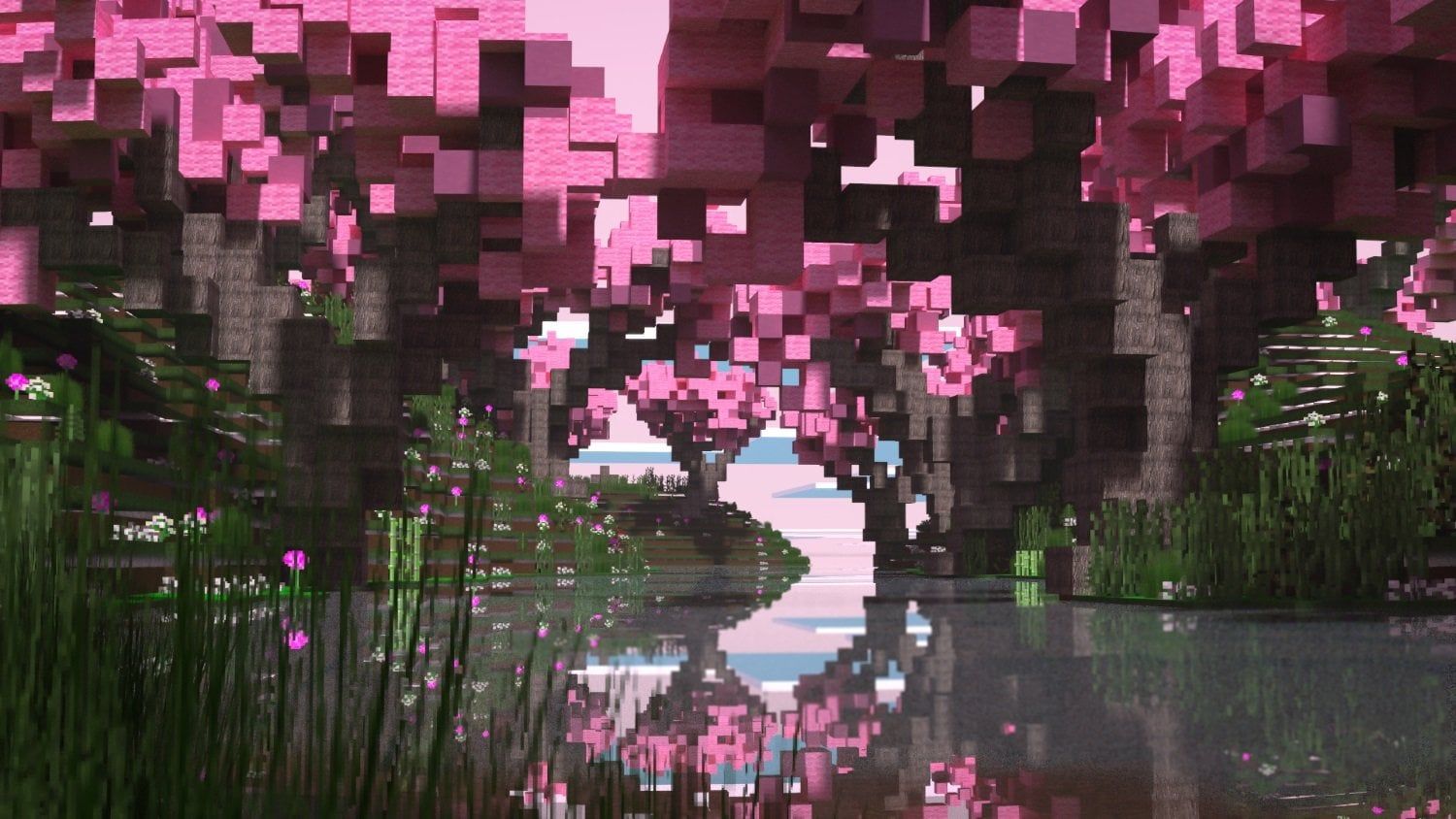 1500x844 Cherry Blossoms