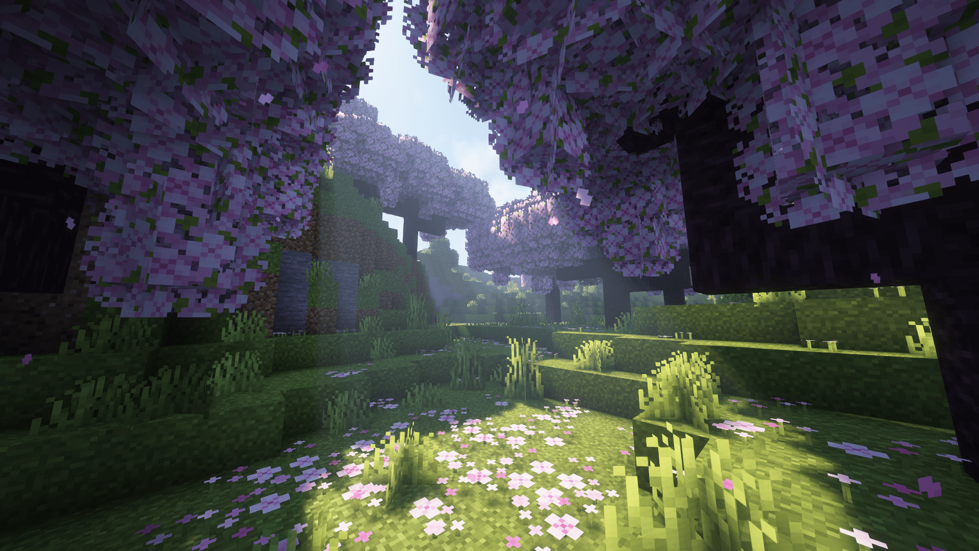 1920x1080 Beautiful cherry blossom biome