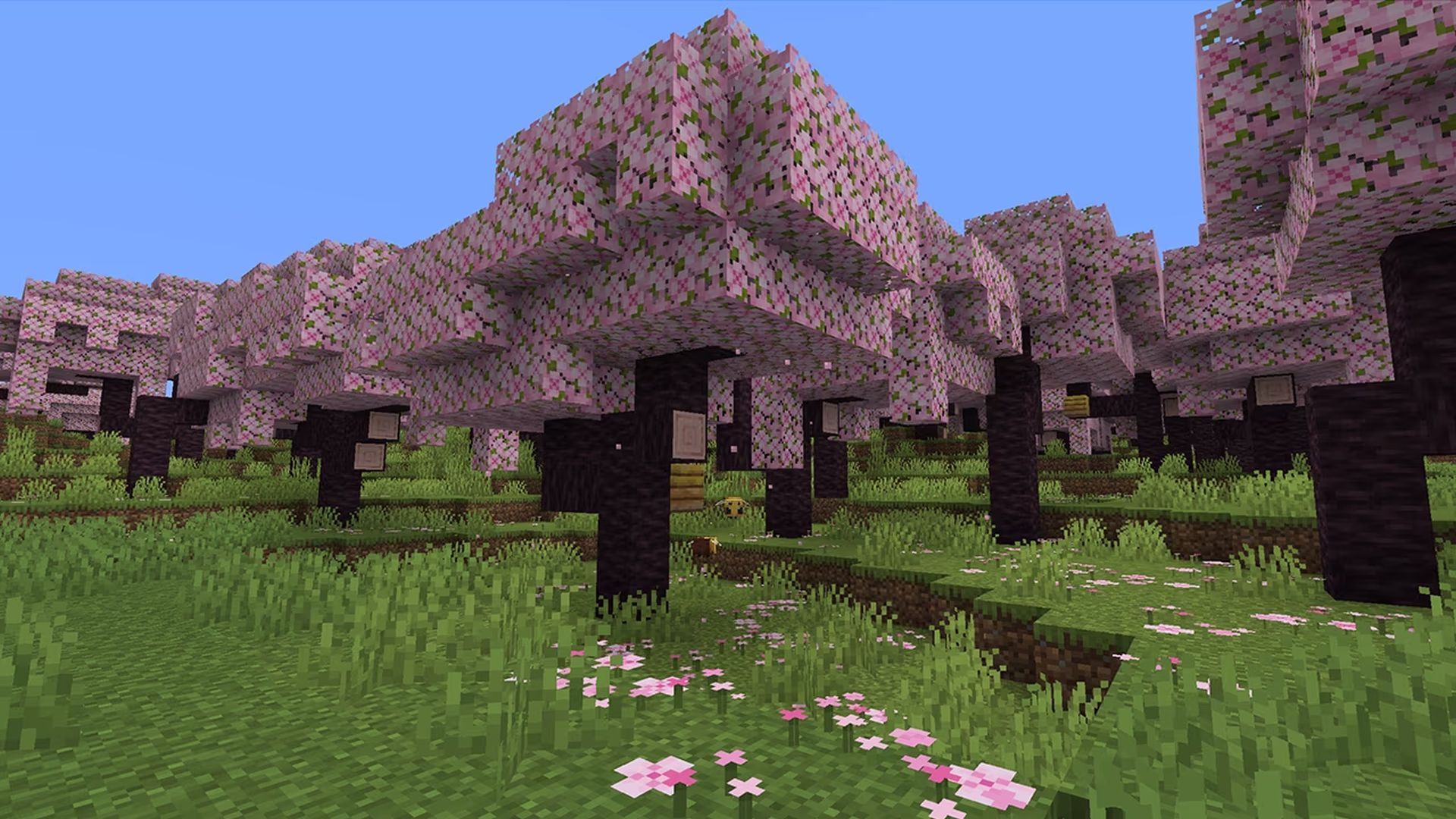 1920x1080 Minecraft Update 1.20 Slated for 2023 Will Bring Cherry Blossom Biome, Archeology
