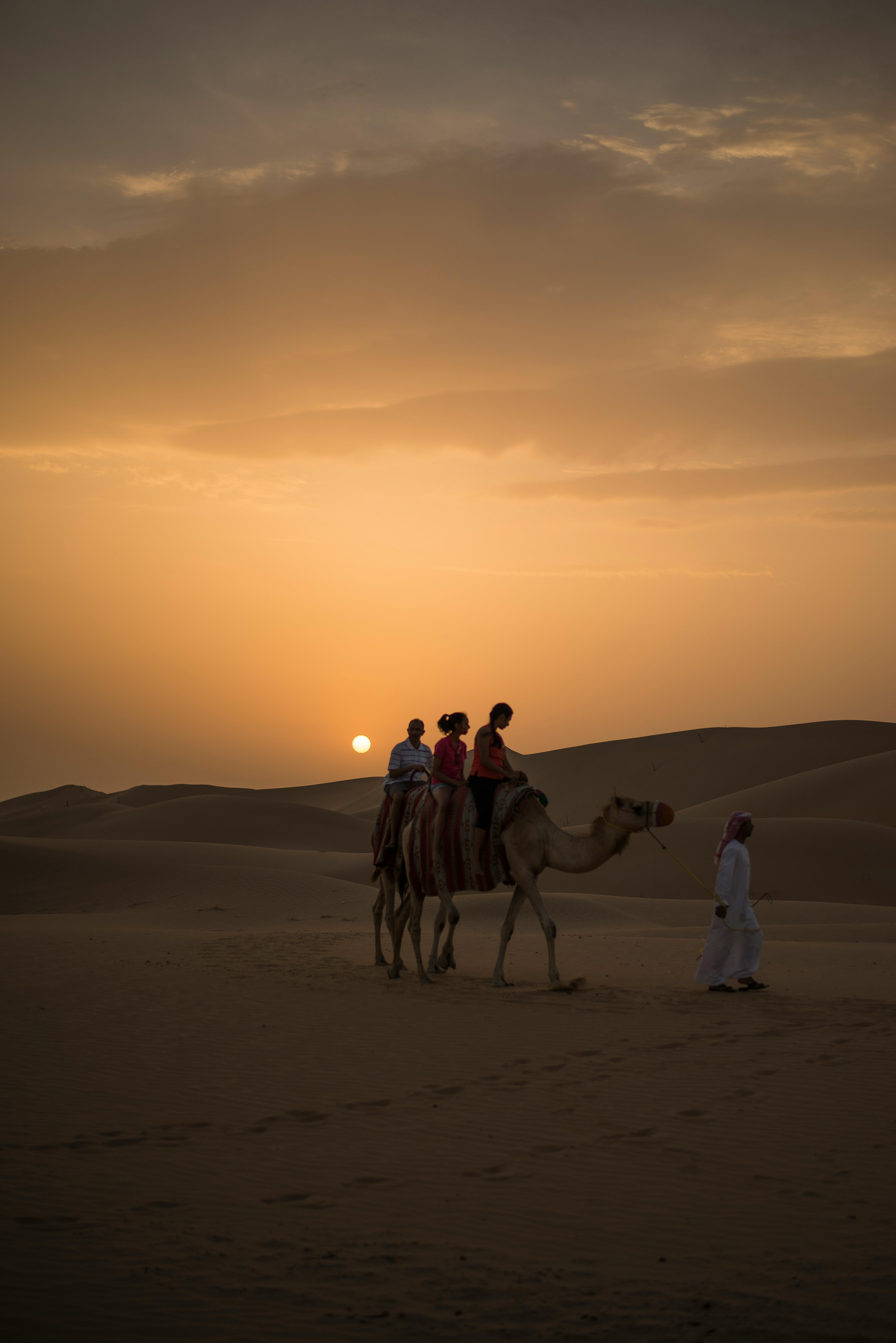 4912x7360 Arabian Photo, Download The BEST Free Arabian & HD Image