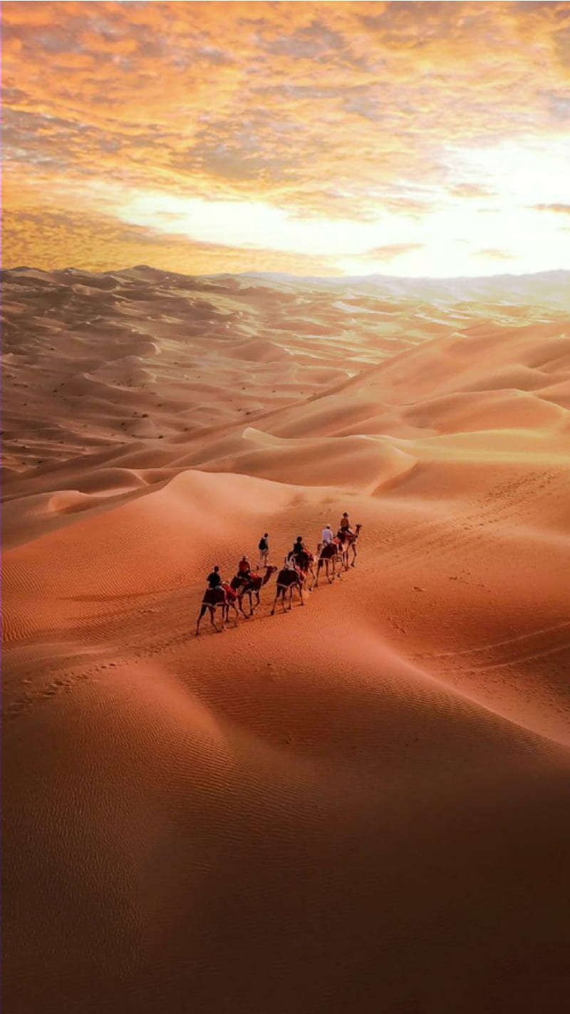 800x1422 Arabs, camel, desert, HD phone wallpaper