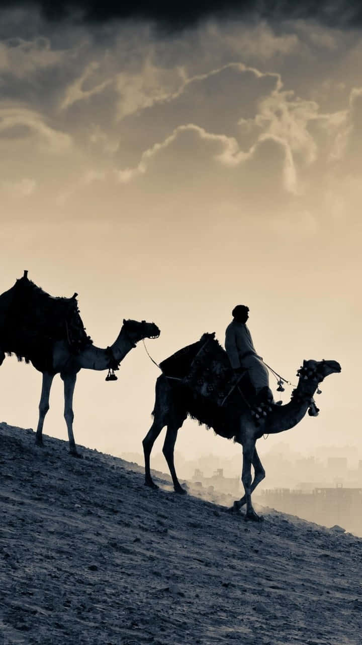 720x1280 Download “The beauty of Arabic letters” Wallpaper
