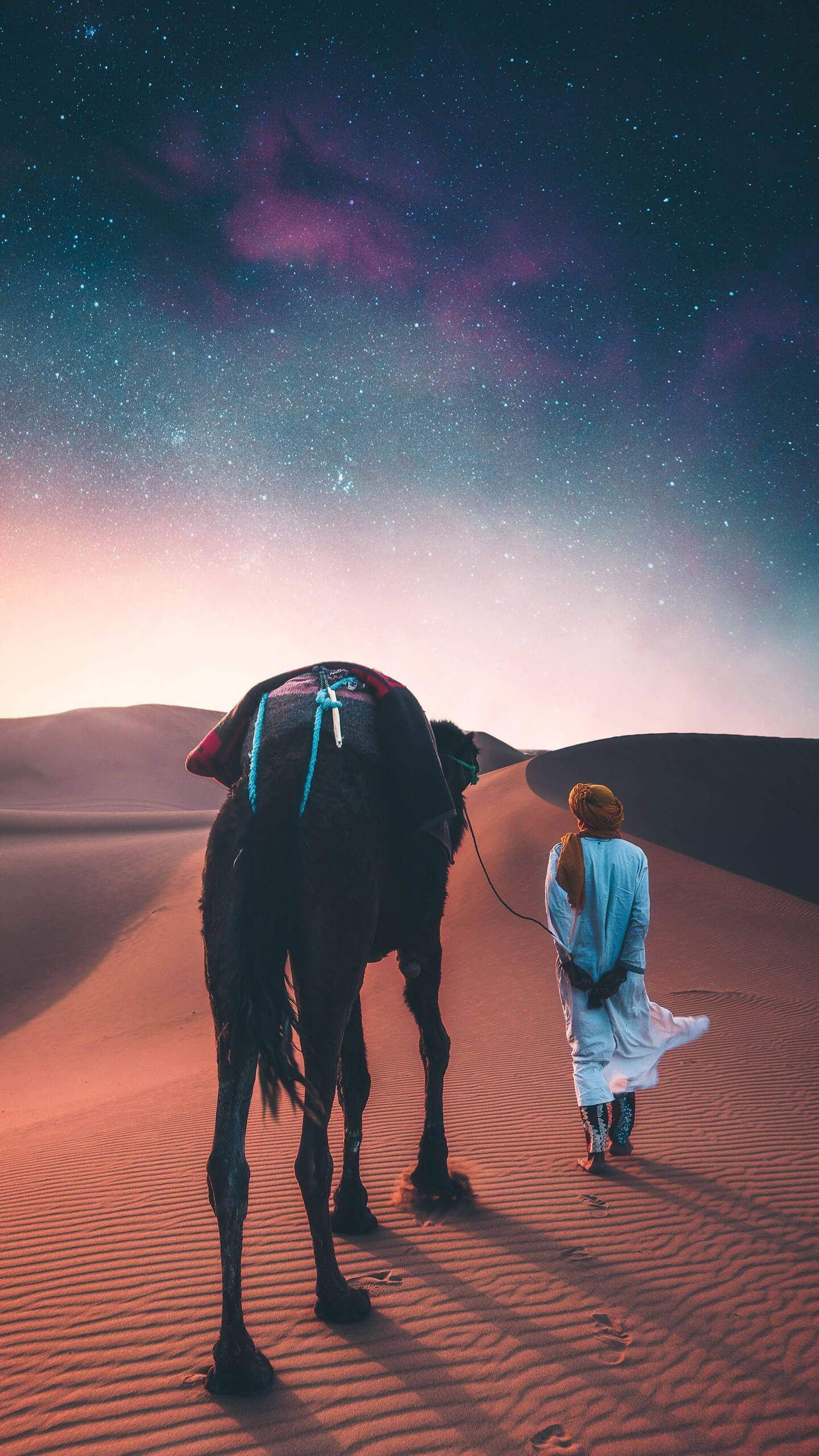 1440x2560 Arabian Desert Wallpaper
