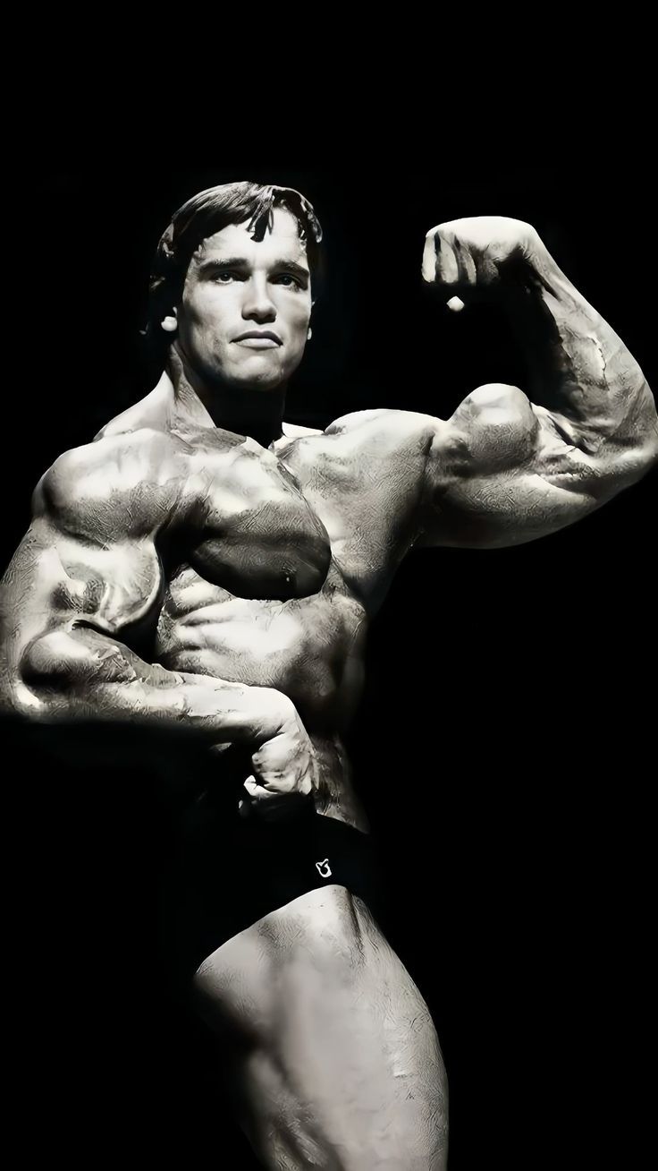 736x1308 4K Arnold Schwarzenegger