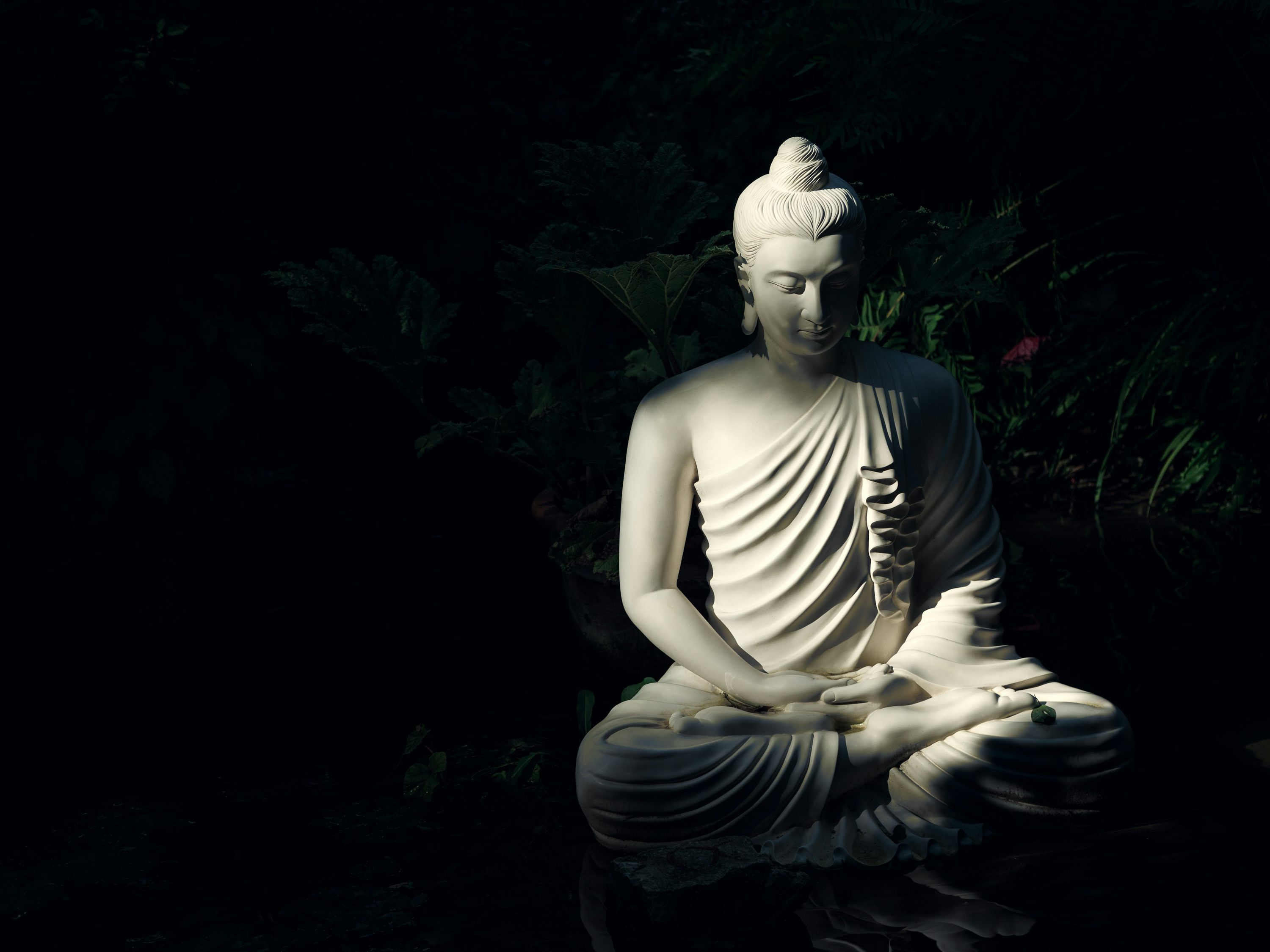 3000x2250 Buddha Wallpaper Picture Image