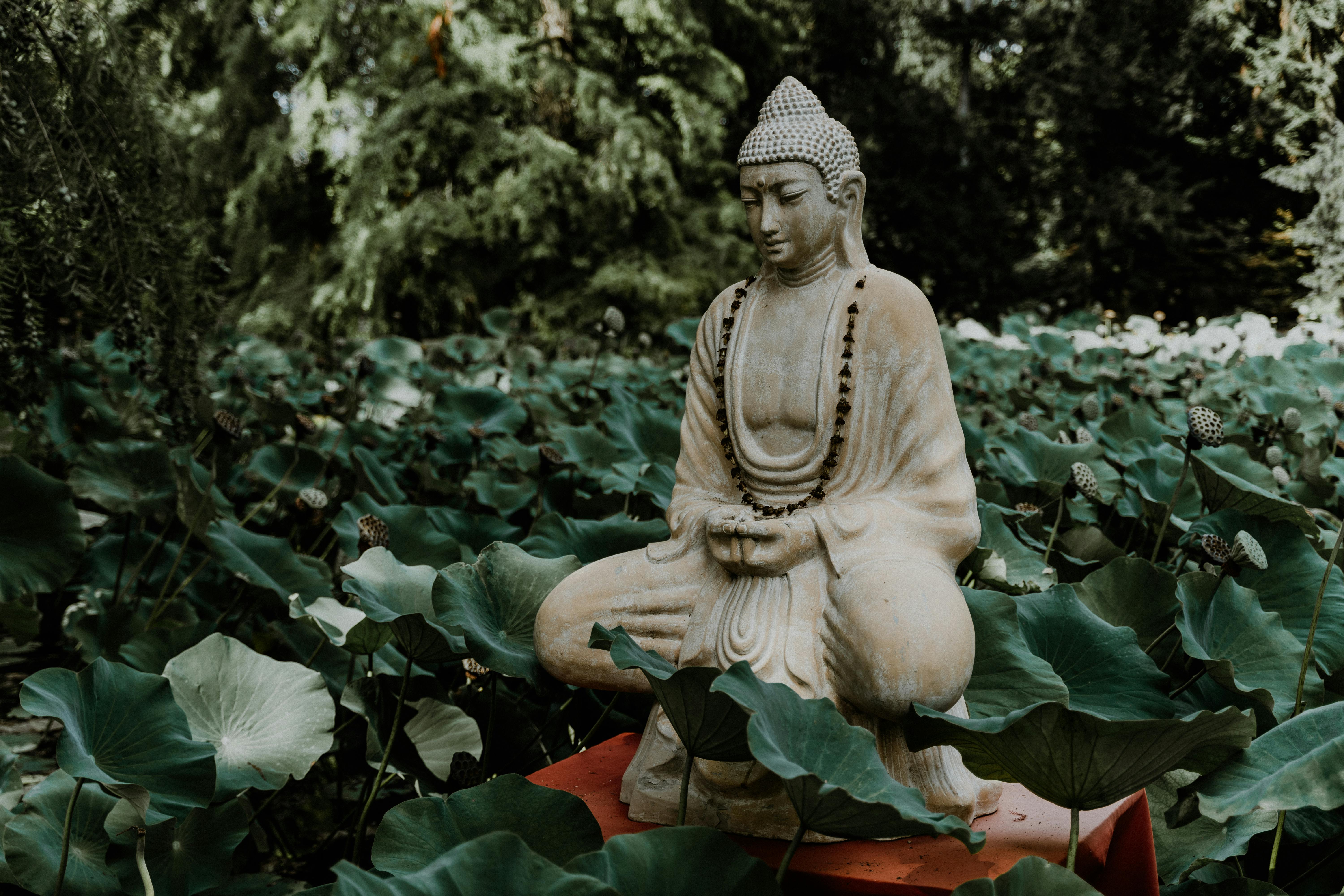 6000x4000 Best Buddha Image · 100% Free Downloads