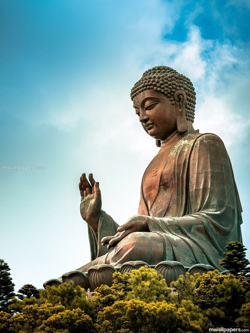 800x1067 Buddha, HD phone wallpaper
