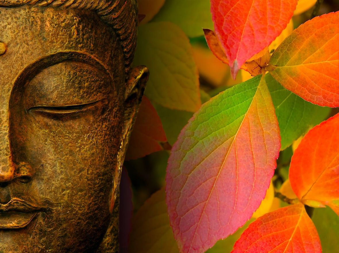 1180x882 Wallpaper Of The Buddha