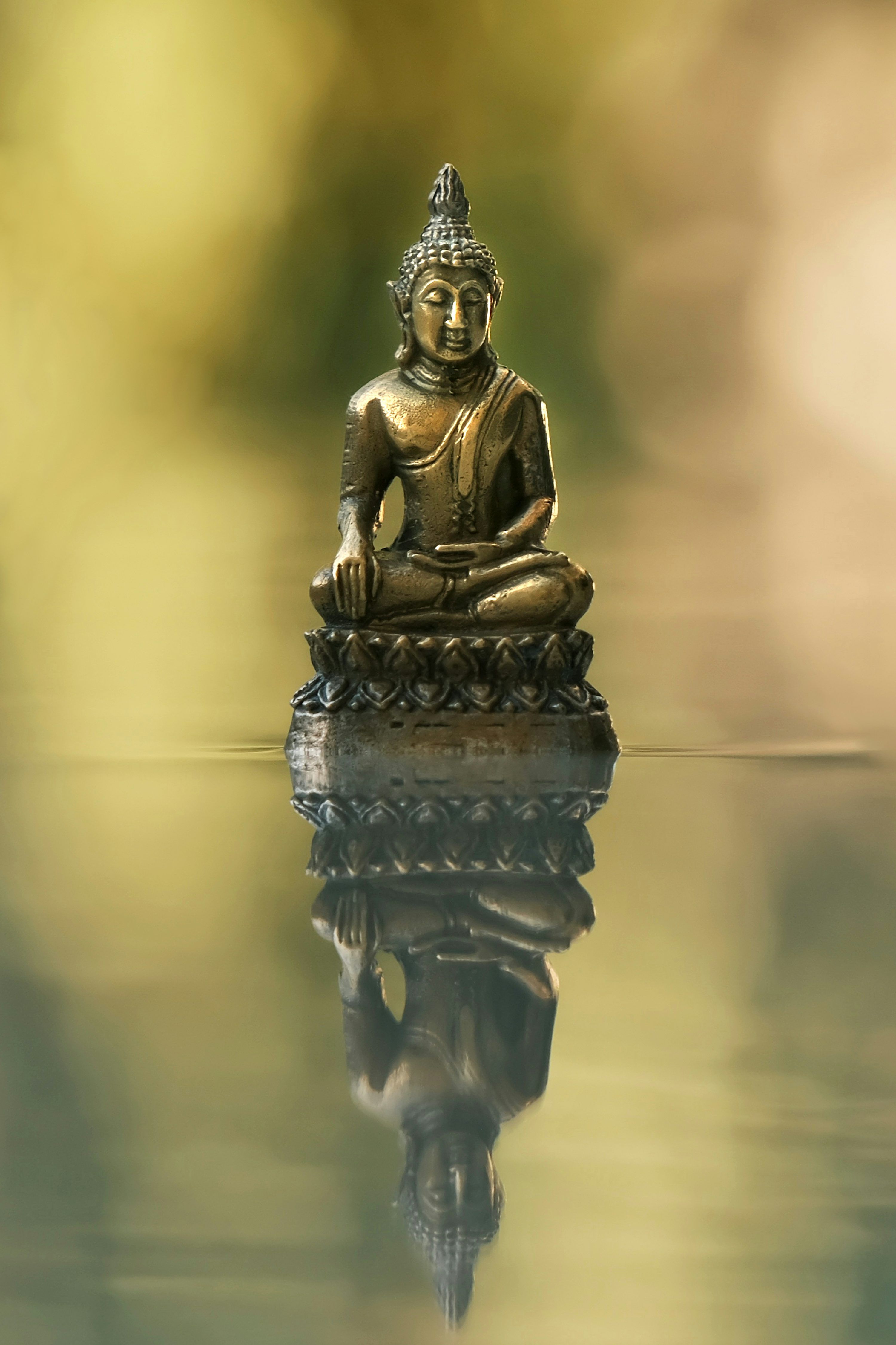 3000x4500 A buddha statue sitting on top of a body of water photo