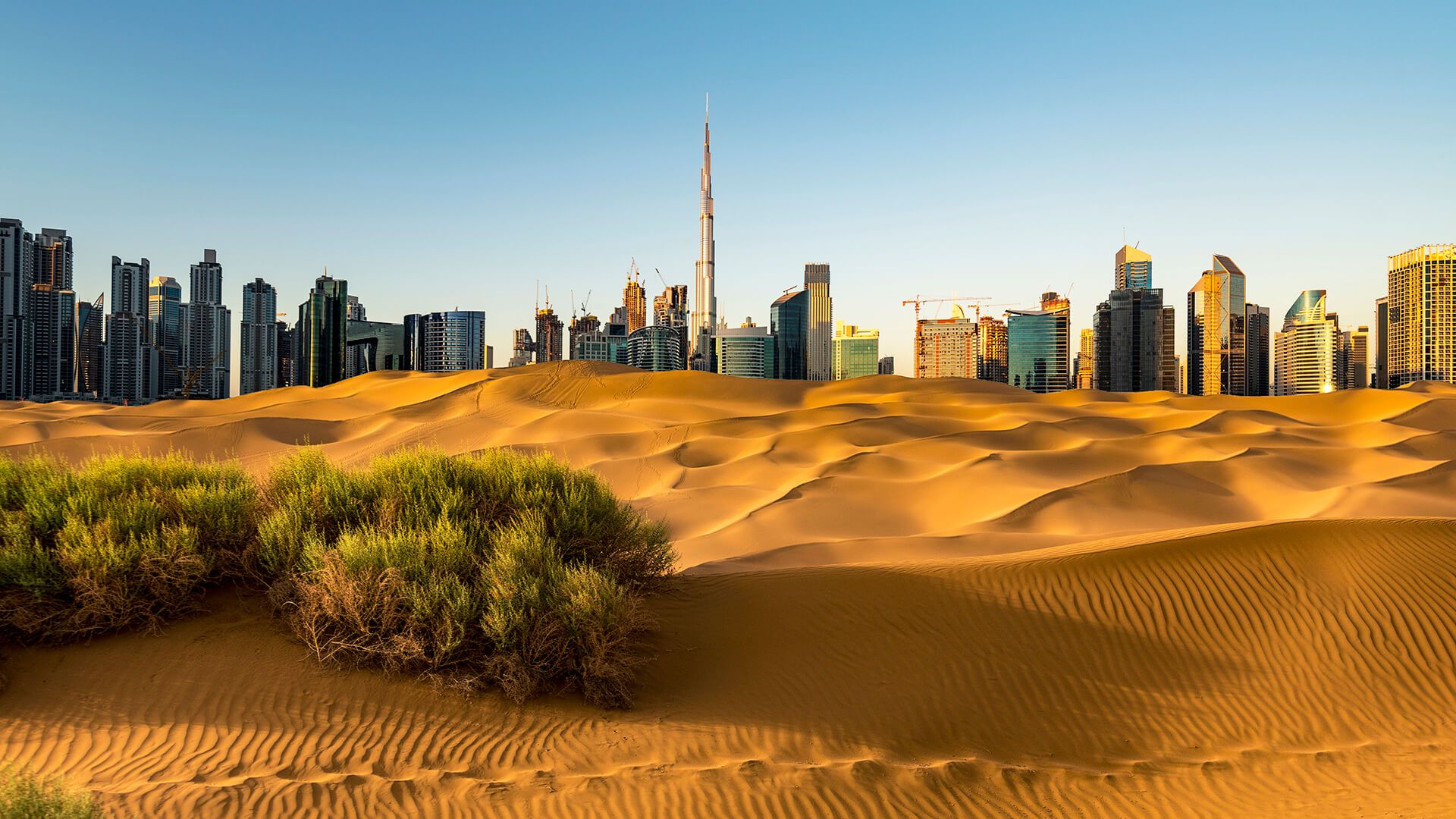 1920x1080 Investment Perspectives from the Road: The UAE Investment Management®