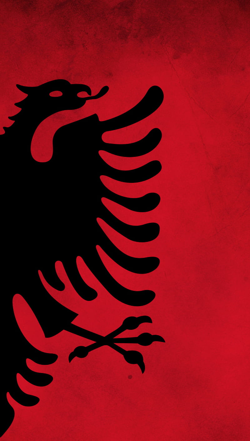 800x1412 1206x2622px, 2K free download. Alb albania, albanian, shqip, HD phone wallpaper