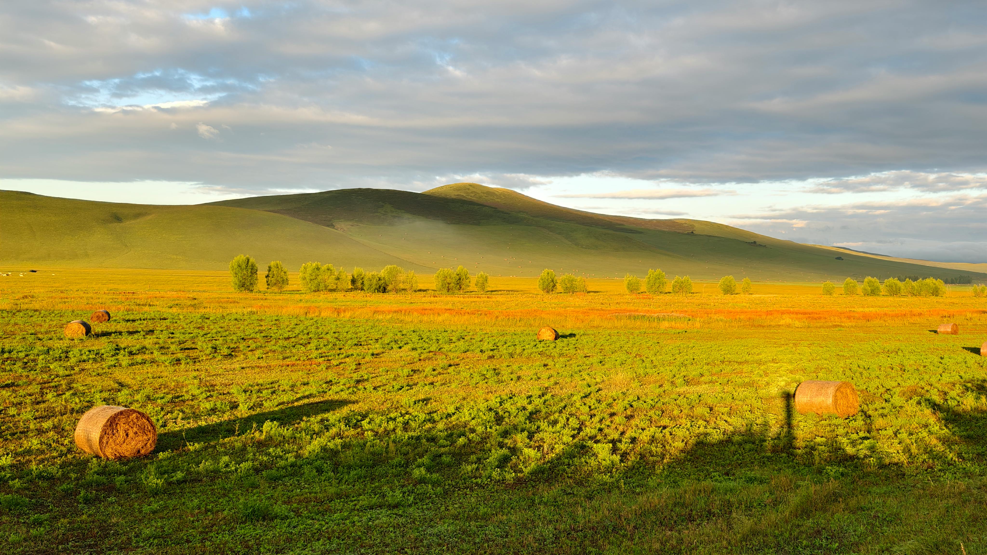 4096x2304 Sunlit Mongolian Steppe with Rolling Hills · Free
