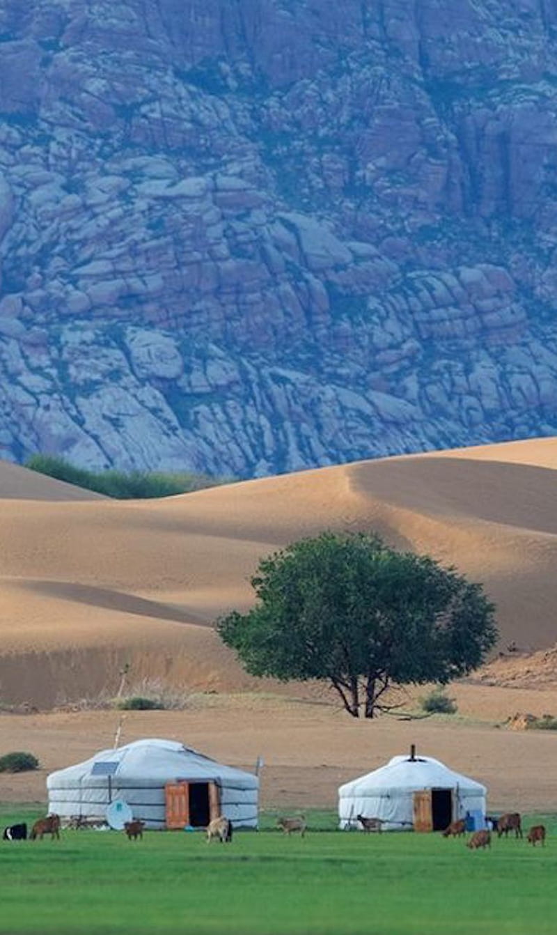 800x1342 Mongolia, landscape, tree, HD phone wallpaper