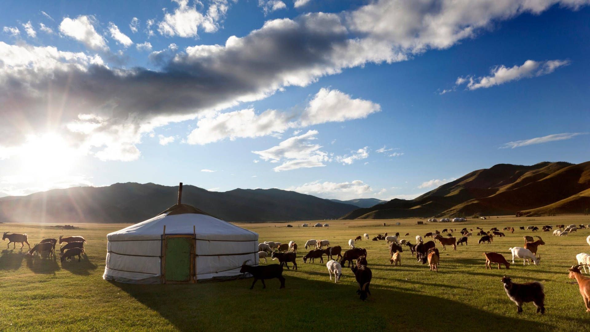 1920x1080 Download Captivating Nomadic Lifestyle of Mongolia Wallpaper