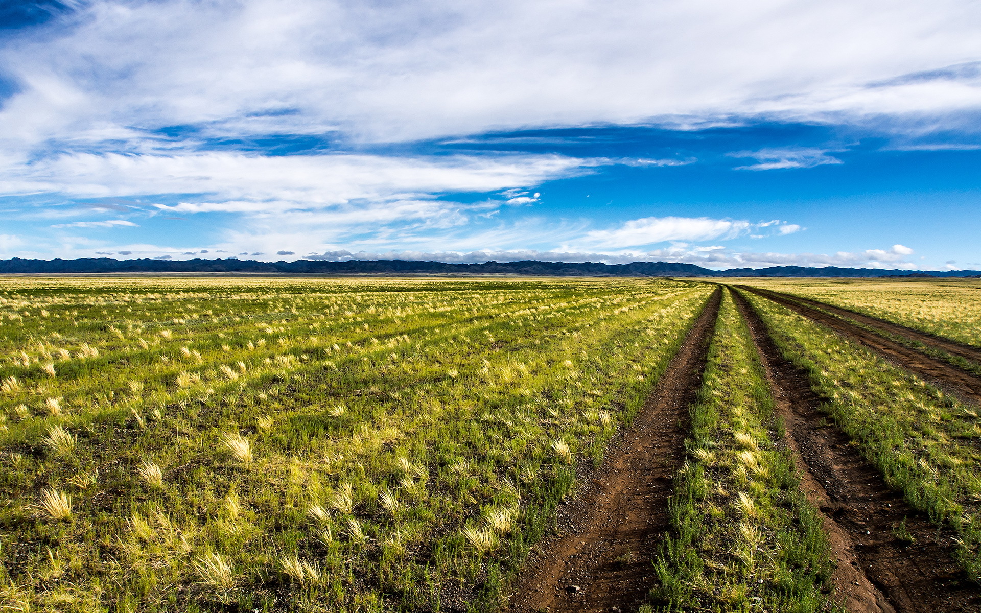 1920x1200 Wallpaper road, field, landscape, Mongolia for mobile and desktop, section пейзажи, resolution 1920x1200