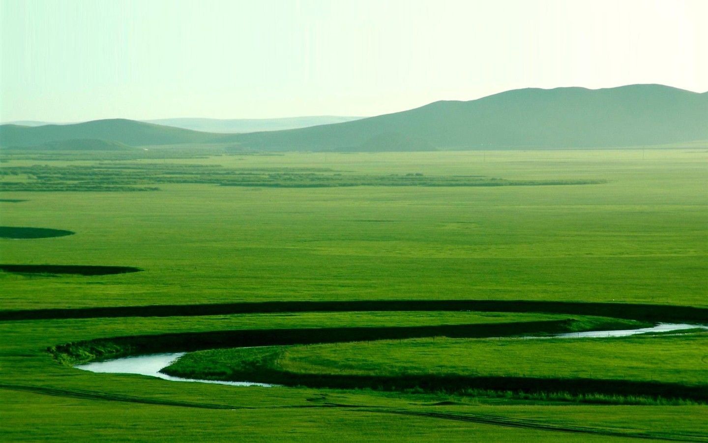 1440x900 Mongolia Grassland HD Desktop Wallpaper 88411