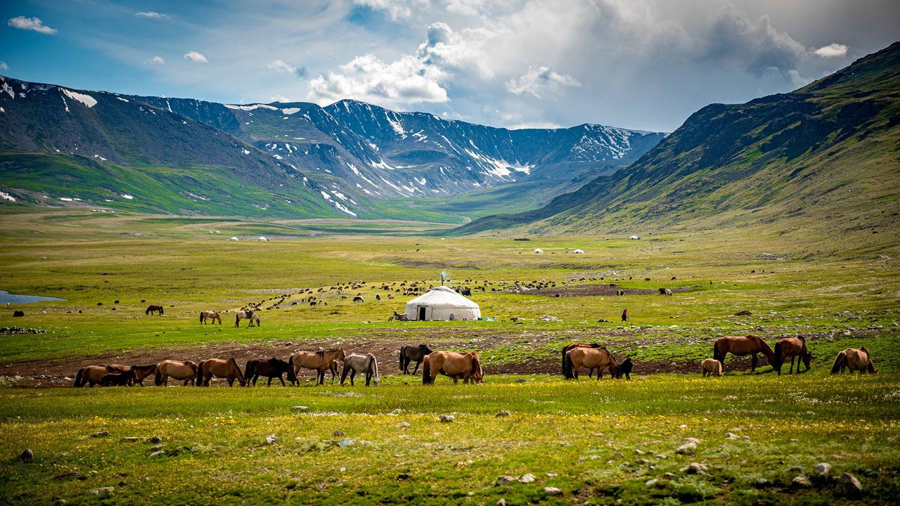 1280x720 G Adventures Mongolia tour: I camped with a nomadic Mongolian family. escape.com.au