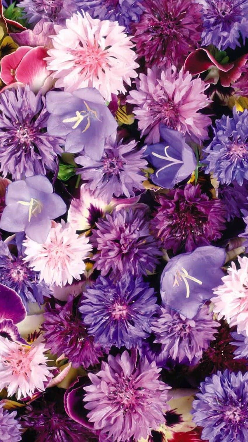 850x1512 Aesthetic Purple Flower Wallpaper