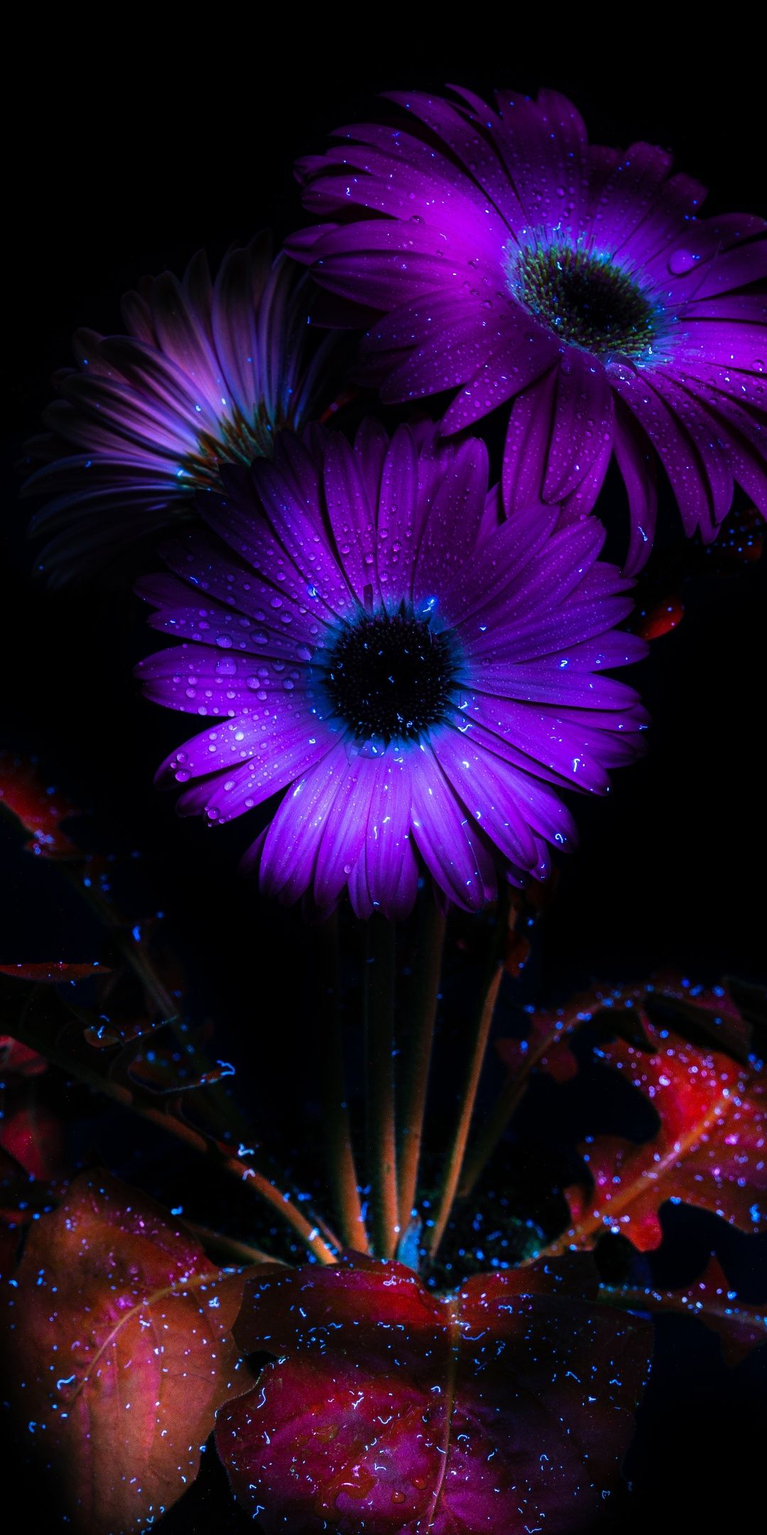 1080x2160 Purple Flowers Wallpaper 4K, Glowing, AMOLED, 8K