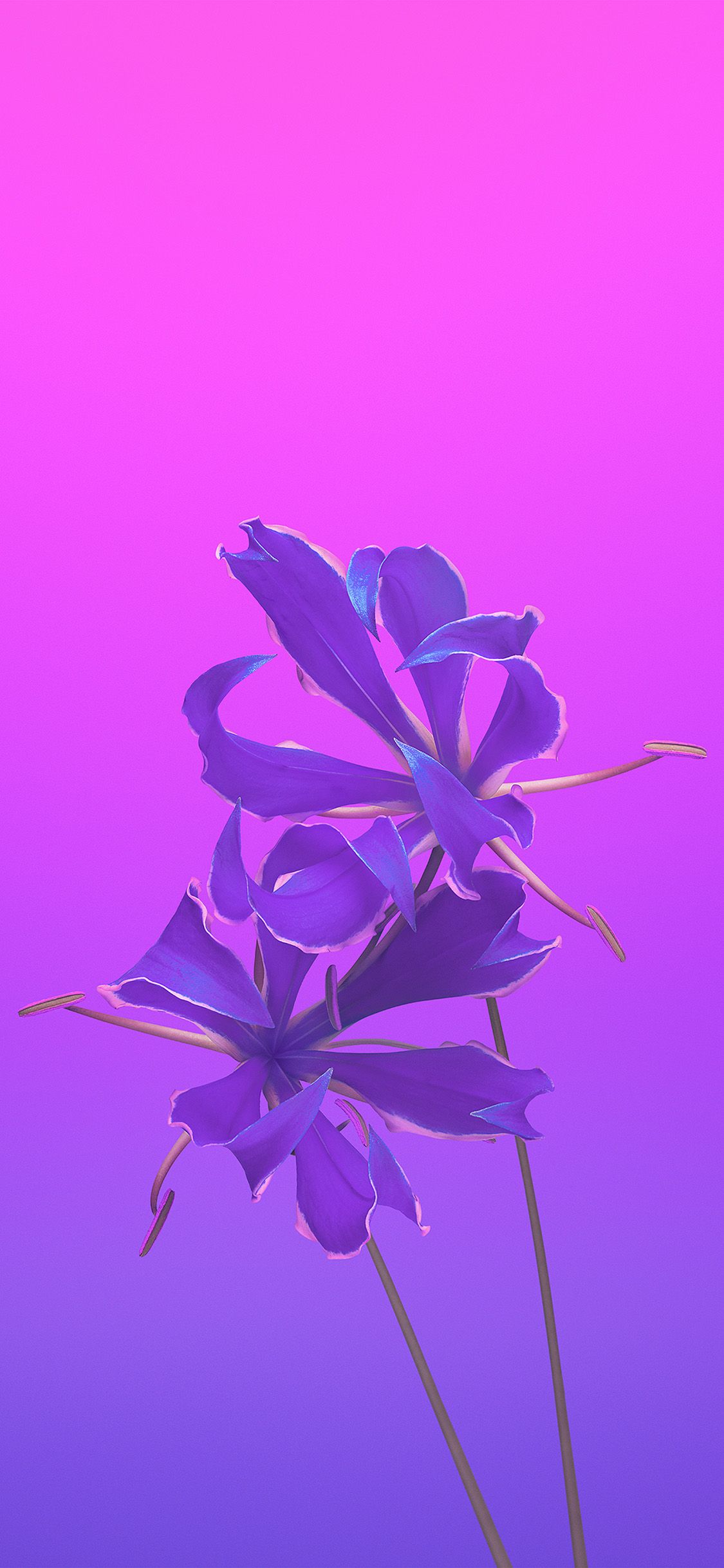 1125x2436 iPhone X wallpaper. apple ios11 iphonex flower art illustration purple