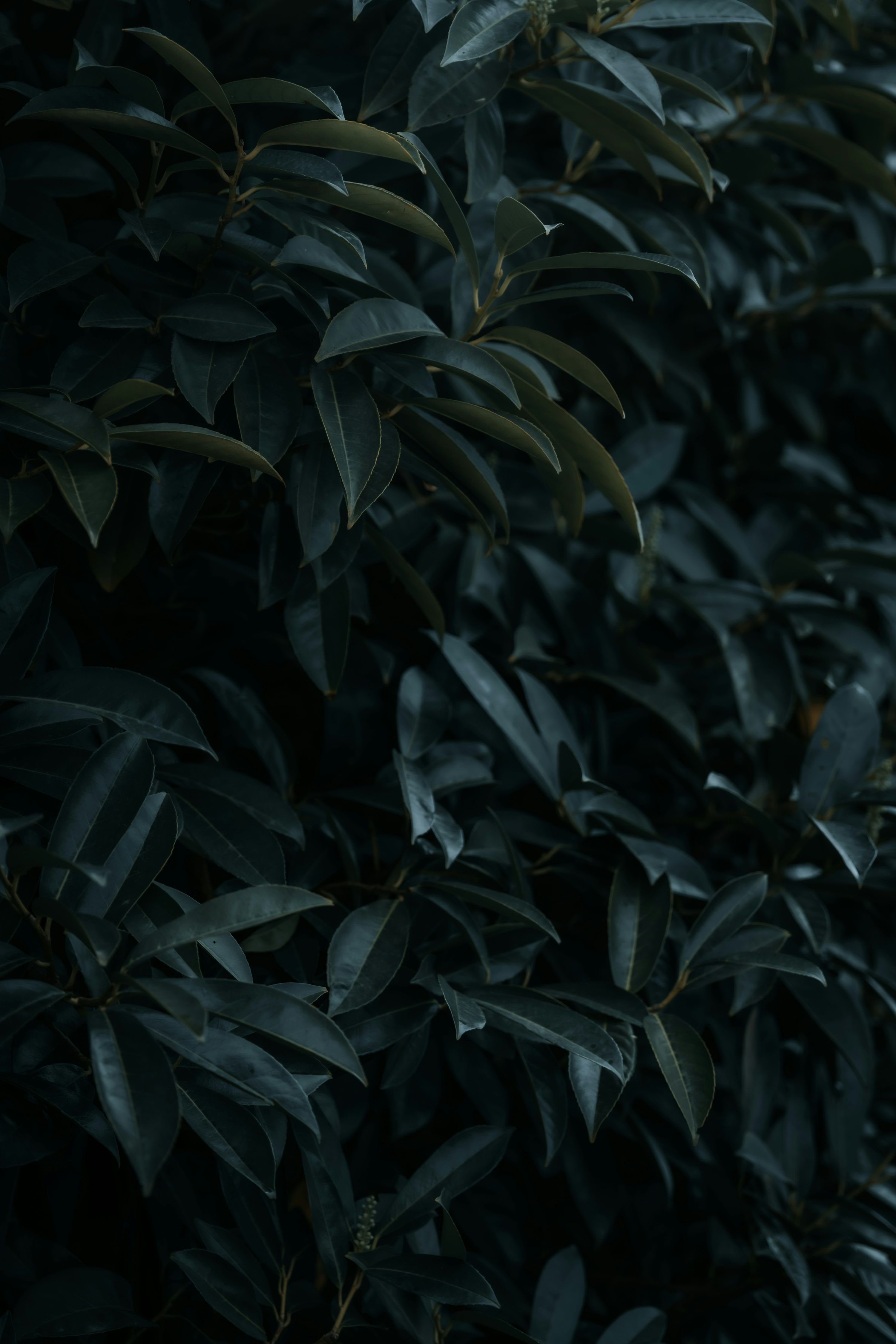 3000x4500 4k Dark Wallpaper Picture. Download Free Image