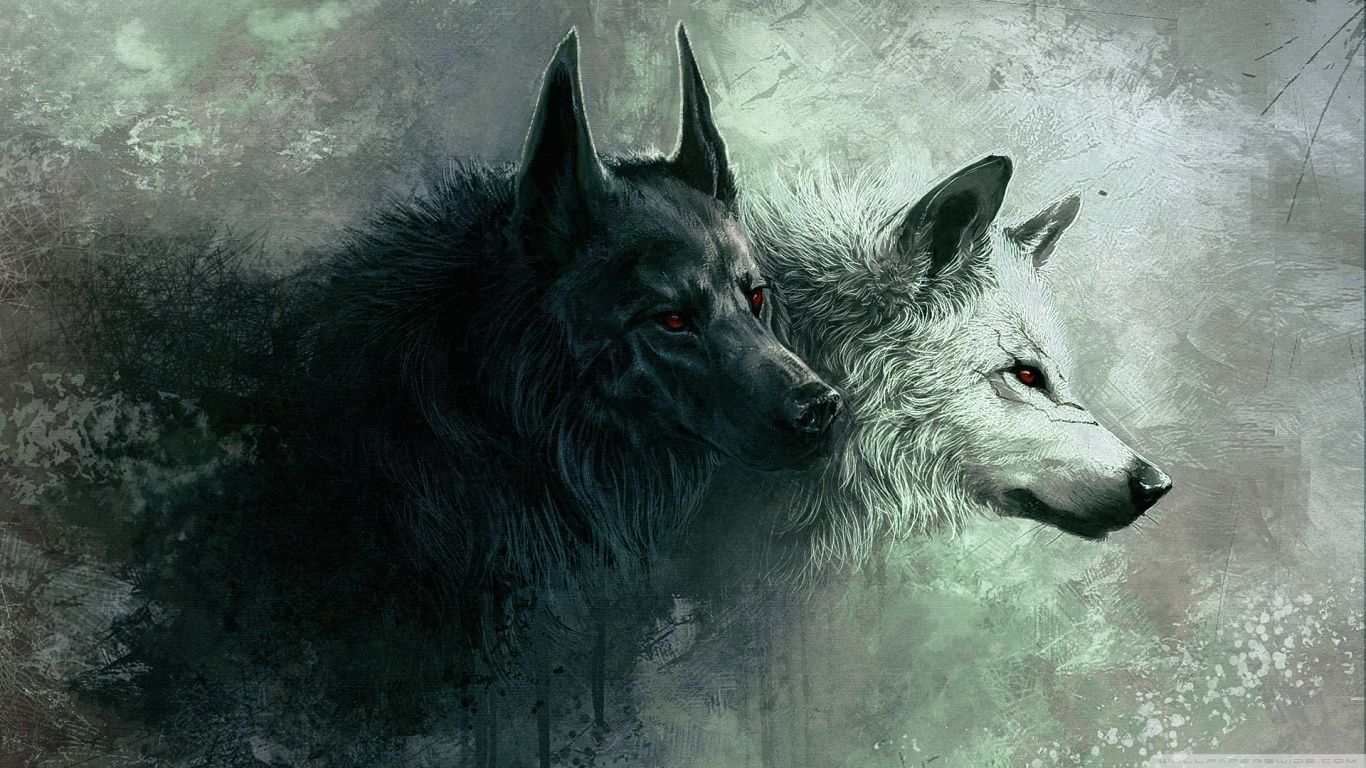 1366x768 Wolf 4K UHD Wallpaper for UltraHD Desktop and TV : Smartphone and Tablet Devices