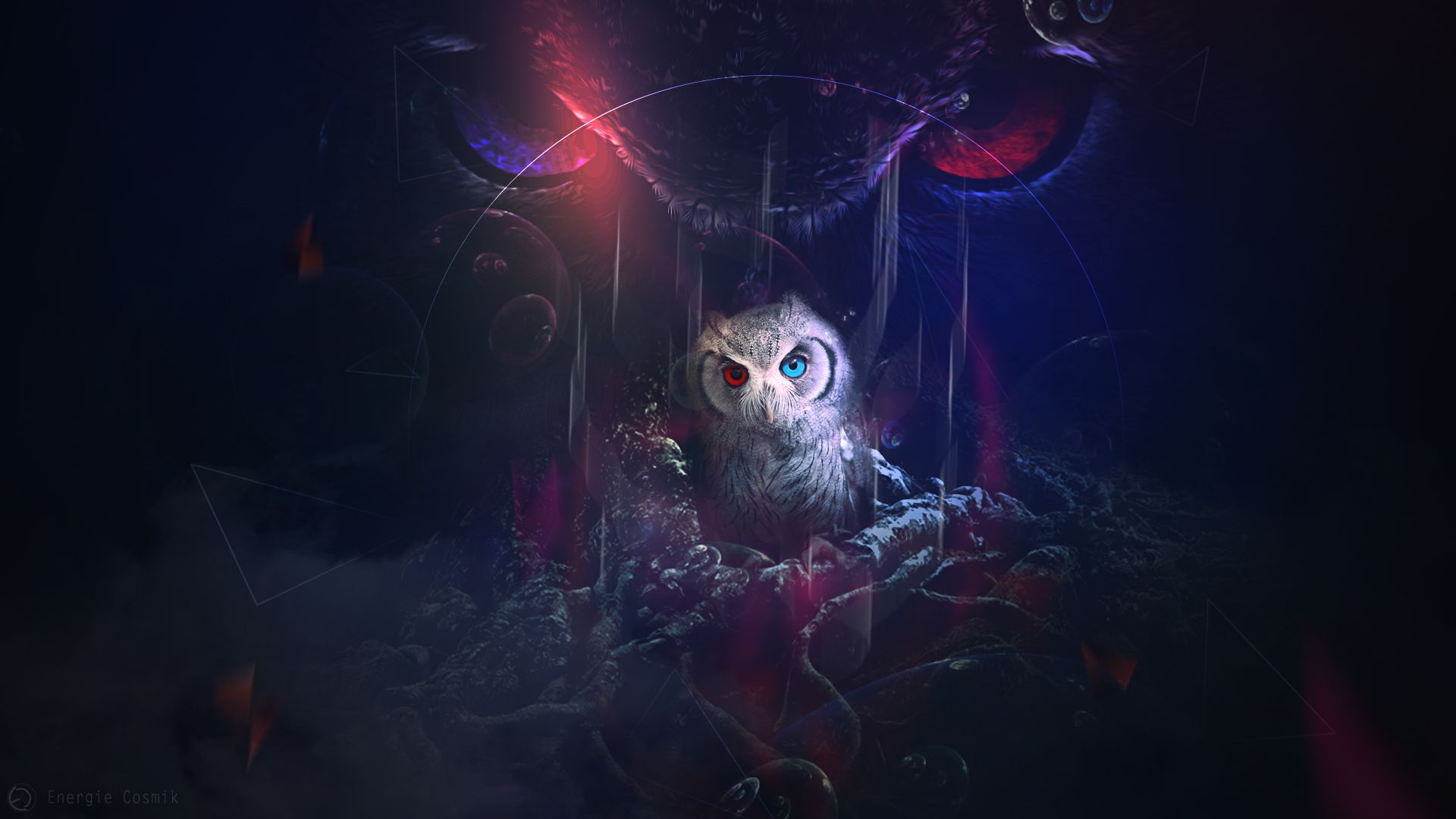 1920x1080 Mystic Owl Wallpaper