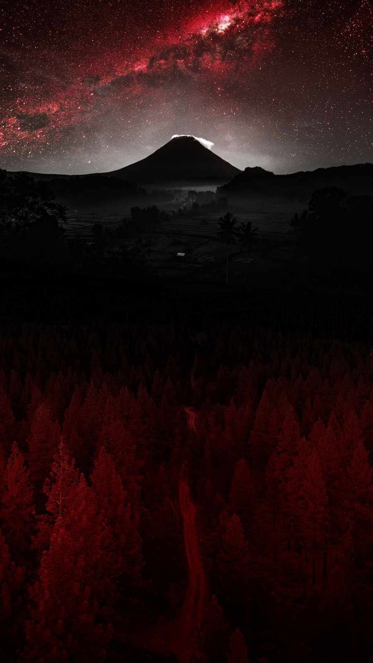 736x1308 Mystic Forest iPhone Wallpaper