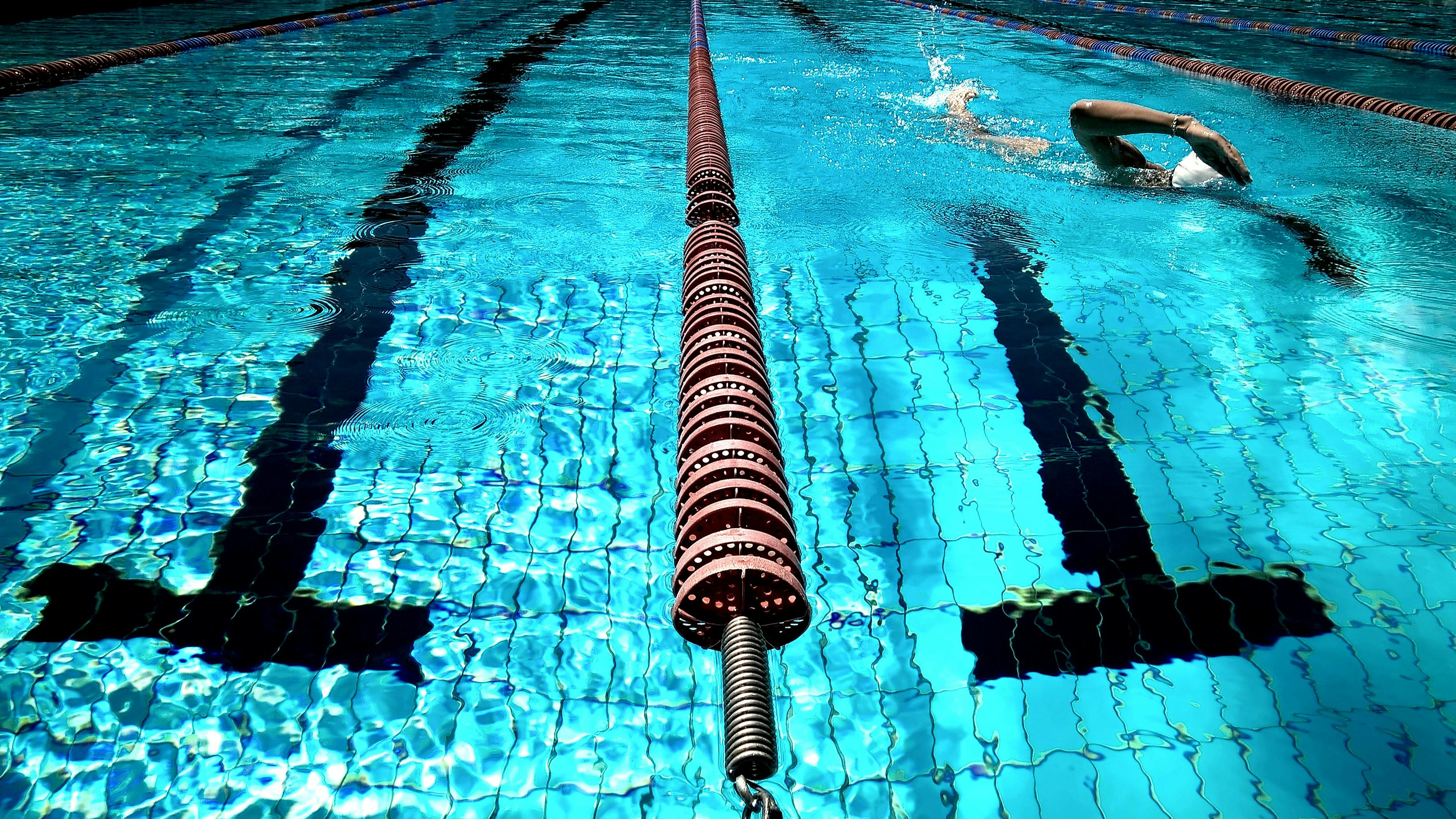3702x2082 Swimming Photo, Download The BEST Free Swimming & HD Image