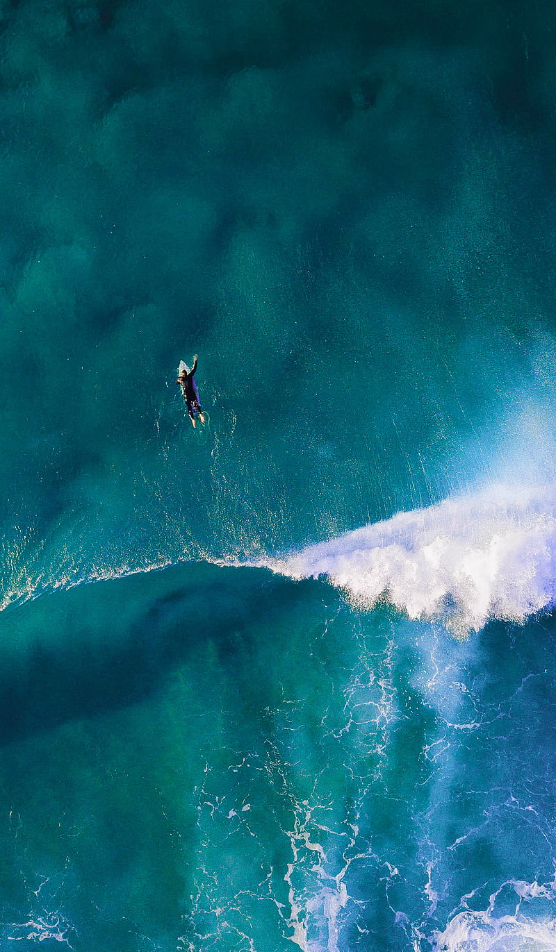 800x1371 Sea Swimmer, Audrey, Sea, amazing, blue, great, ocean, premium, swim, swimmer, HD phone wallpaper