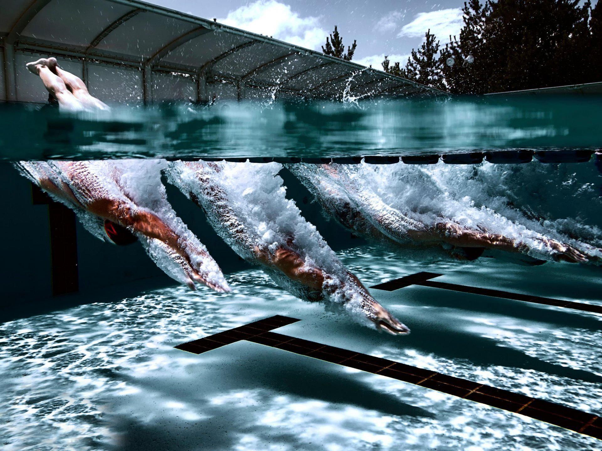 1920x1440 Swimming Wallpaper