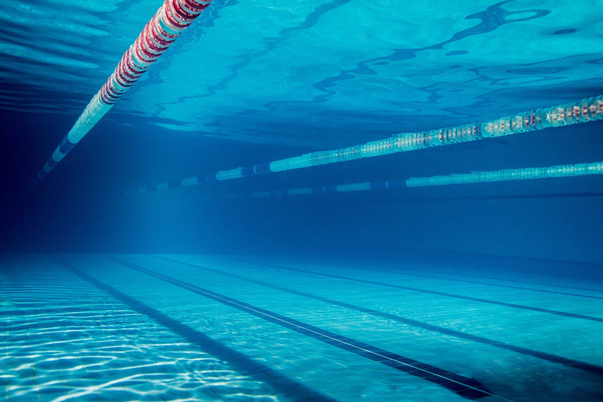 2048x1365 The Complicated, Century Long Relationship Between Swimming Pools And Chlorine