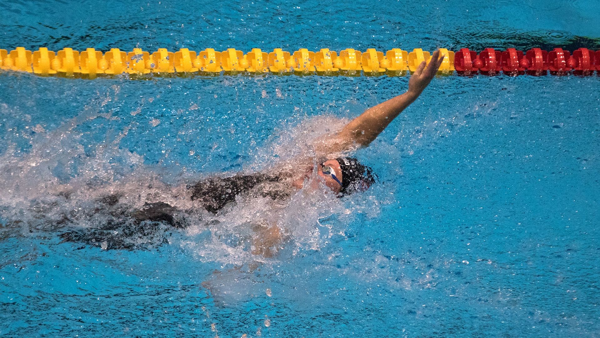 1920x1080 Olympic Swimming format: Competition info, heats and final race, lane assignments, how it works