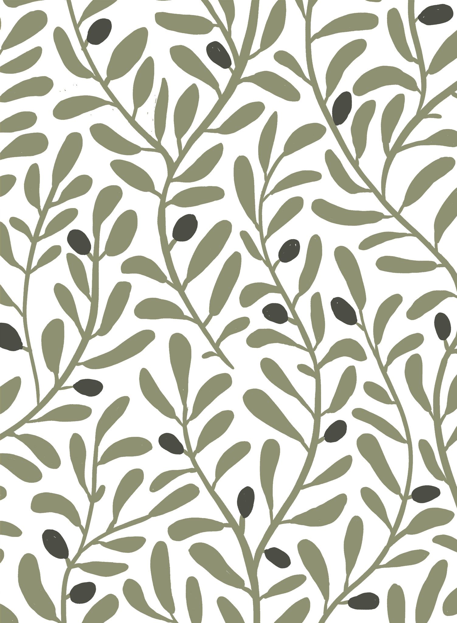 1503x2048 Olive Tree Wallpaper