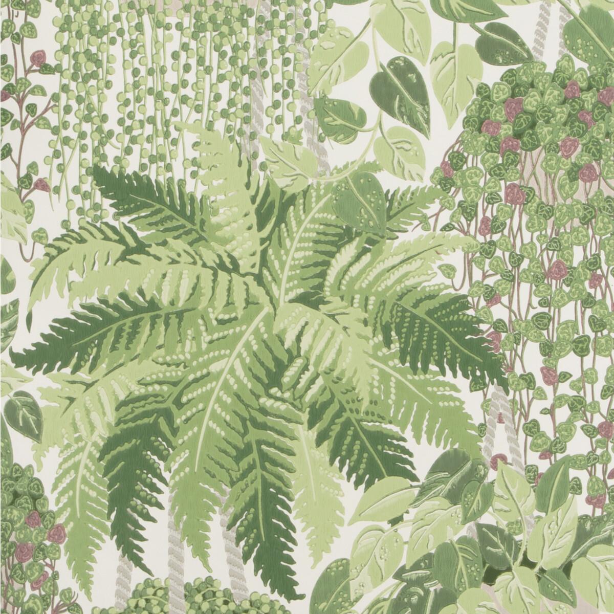 1200x1200 Cole & Son Fern Leaf Green And Olive Wallpaper