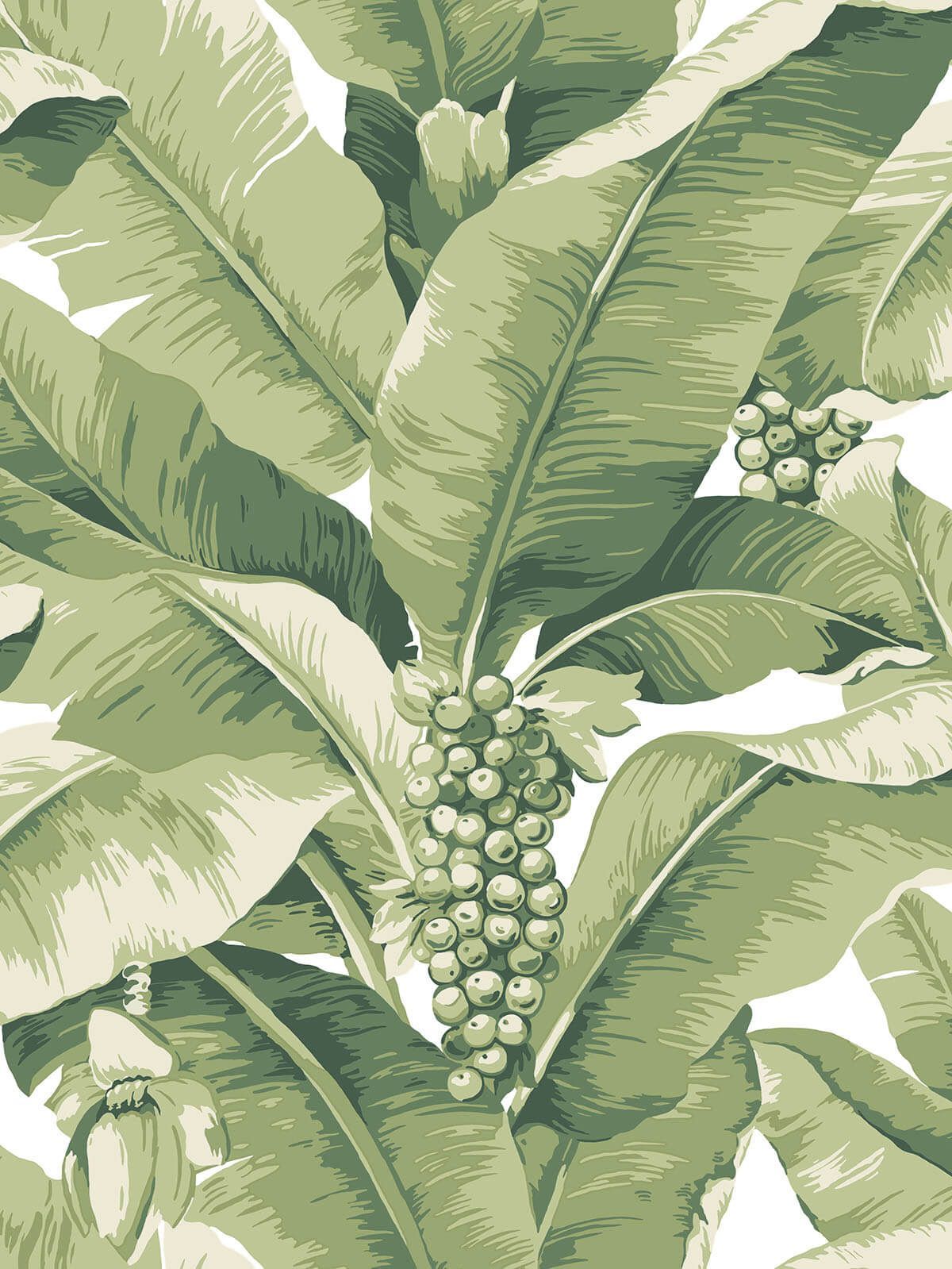 1200x1599 Classic Palm Leaf Wallpaper