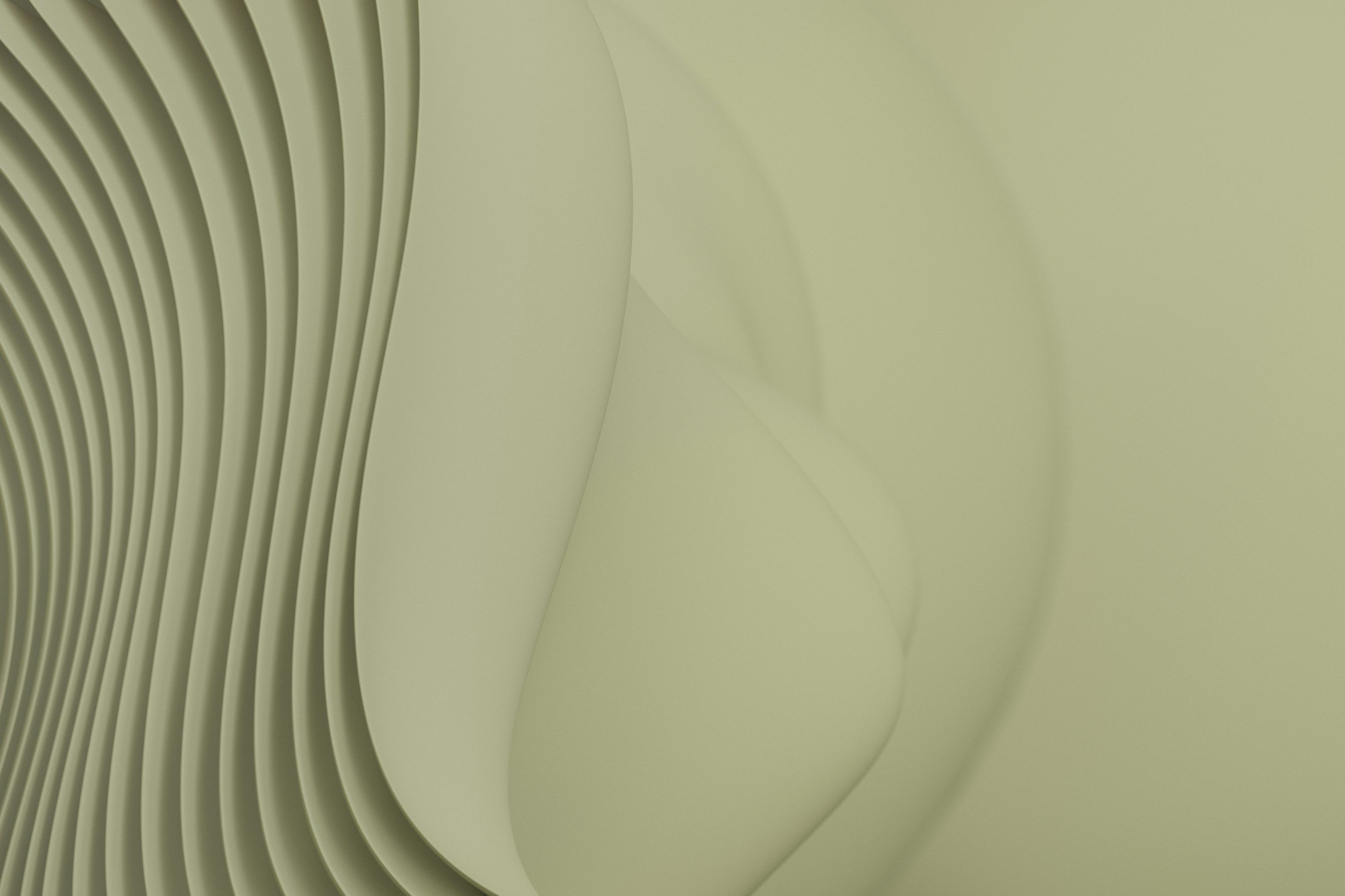 3000x2000 Olive Green Picture. Download Free Image